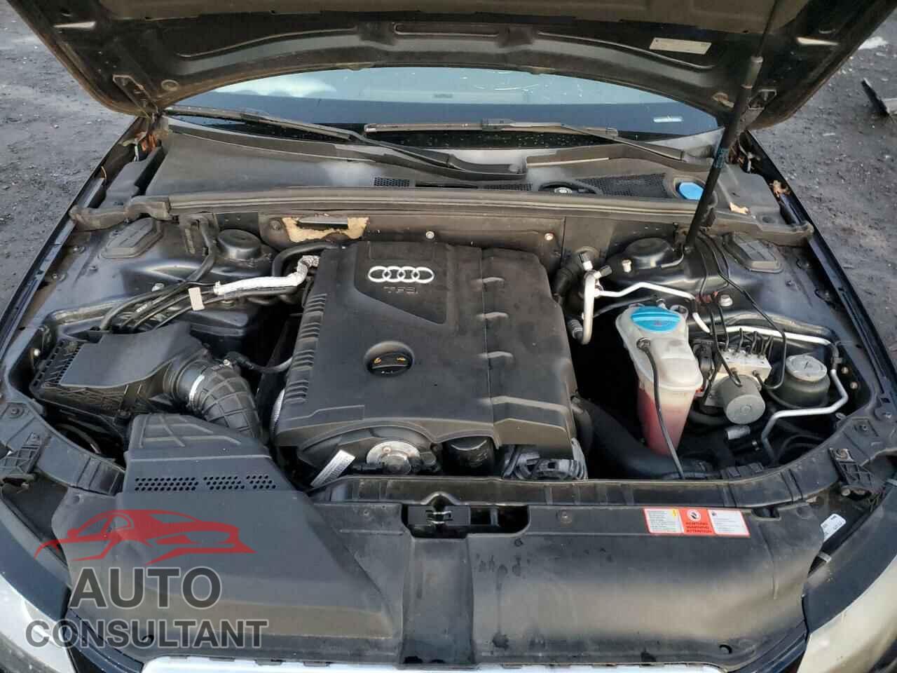 AUDI A4 2010 - WAUBFAFL2AN011775