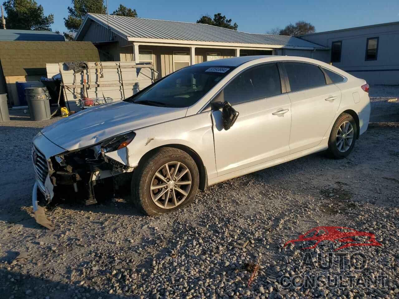 HYUNDAI SONATA 2019 - 5NPE24AFXKH775714