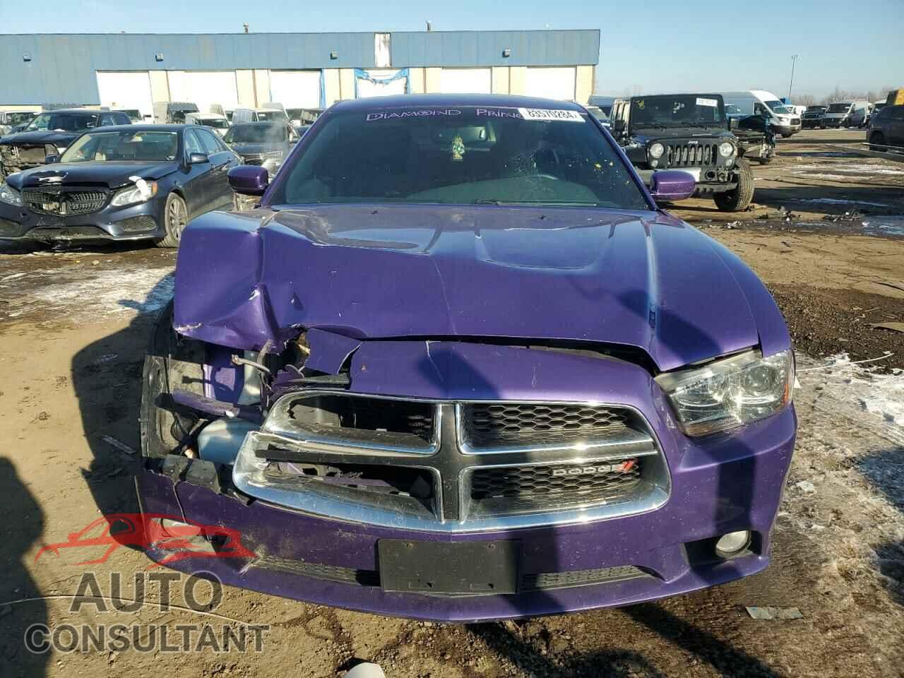 DODGE CHARGER 2014 - 2C3CDXCT2EH212387