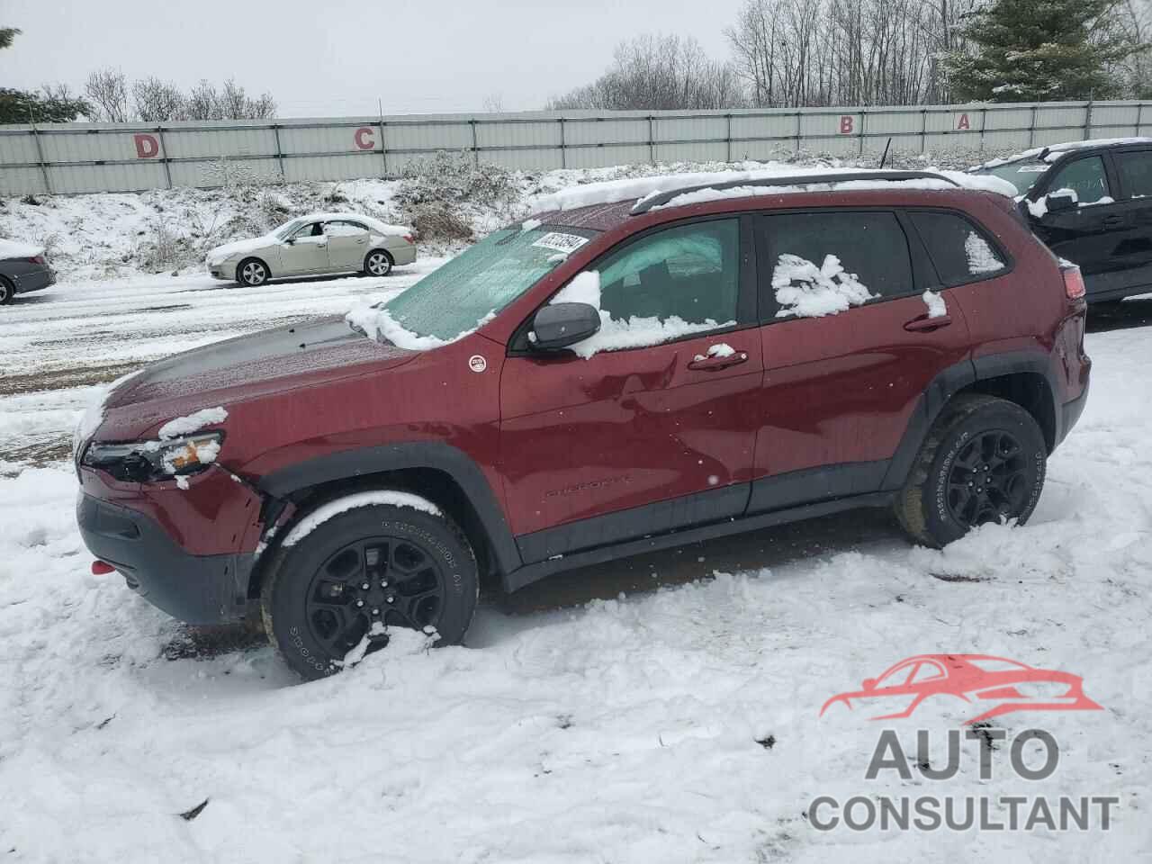 JEEP CHEROKEE 2019 - 1C4PJMBX2KD149244