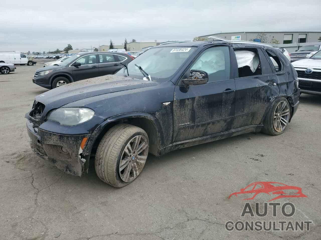 BMW X5 2011 - 5UXZV4C55BL415998