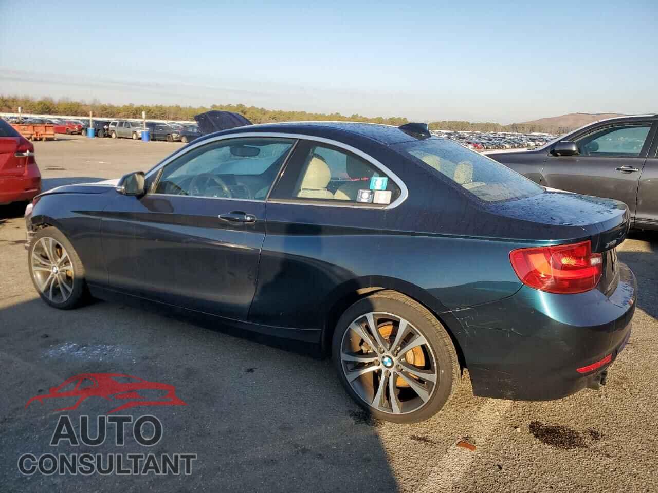 BMW 2 SERIES 2015 - WBA1F7C50FVX95823