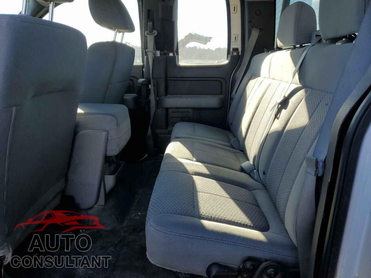 FORD F-150 2011 - 1FTFX1EF1BFC22832