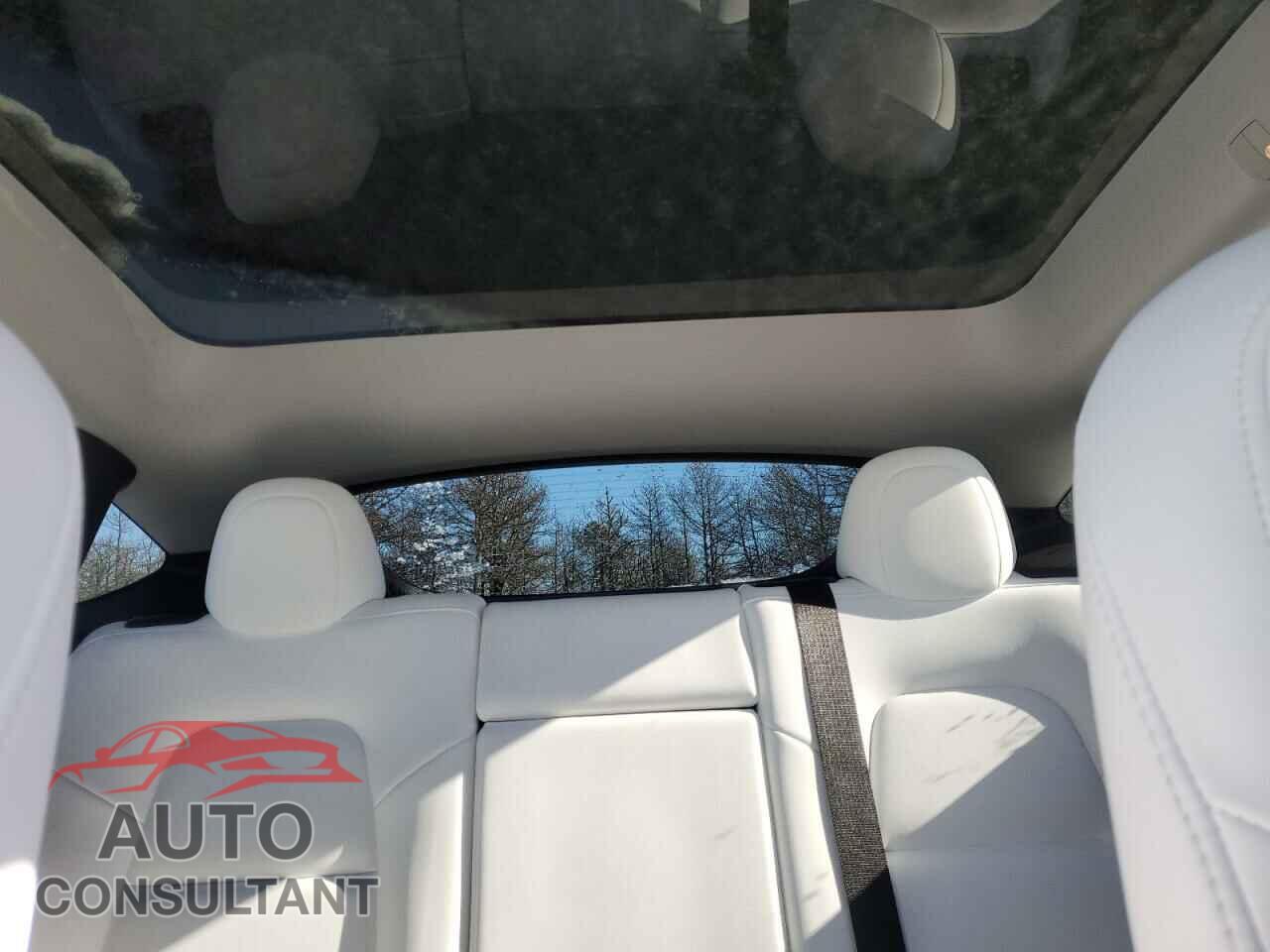 TESLA MODEL Y 2023 - 7SAYGDEE0PF609114