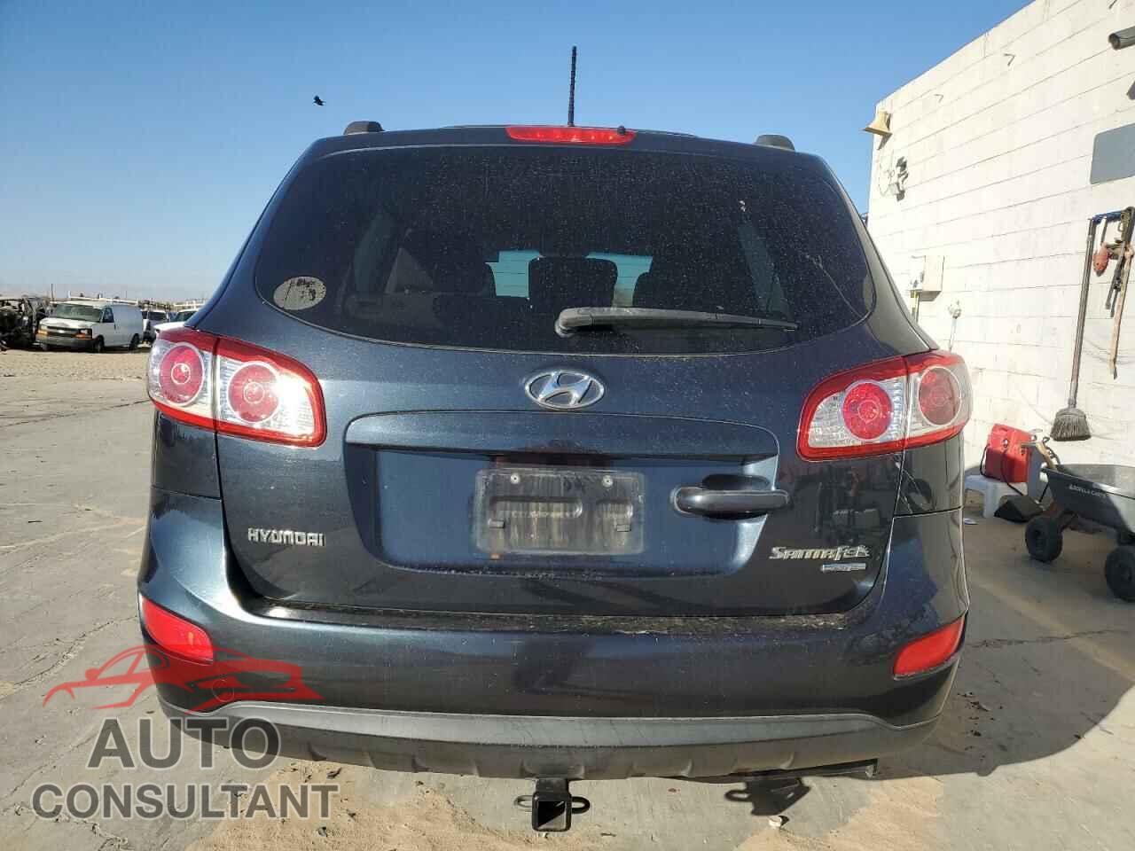 HYUNDAI SANTA FE 2010 - 5NMSGDAB9AH395969
