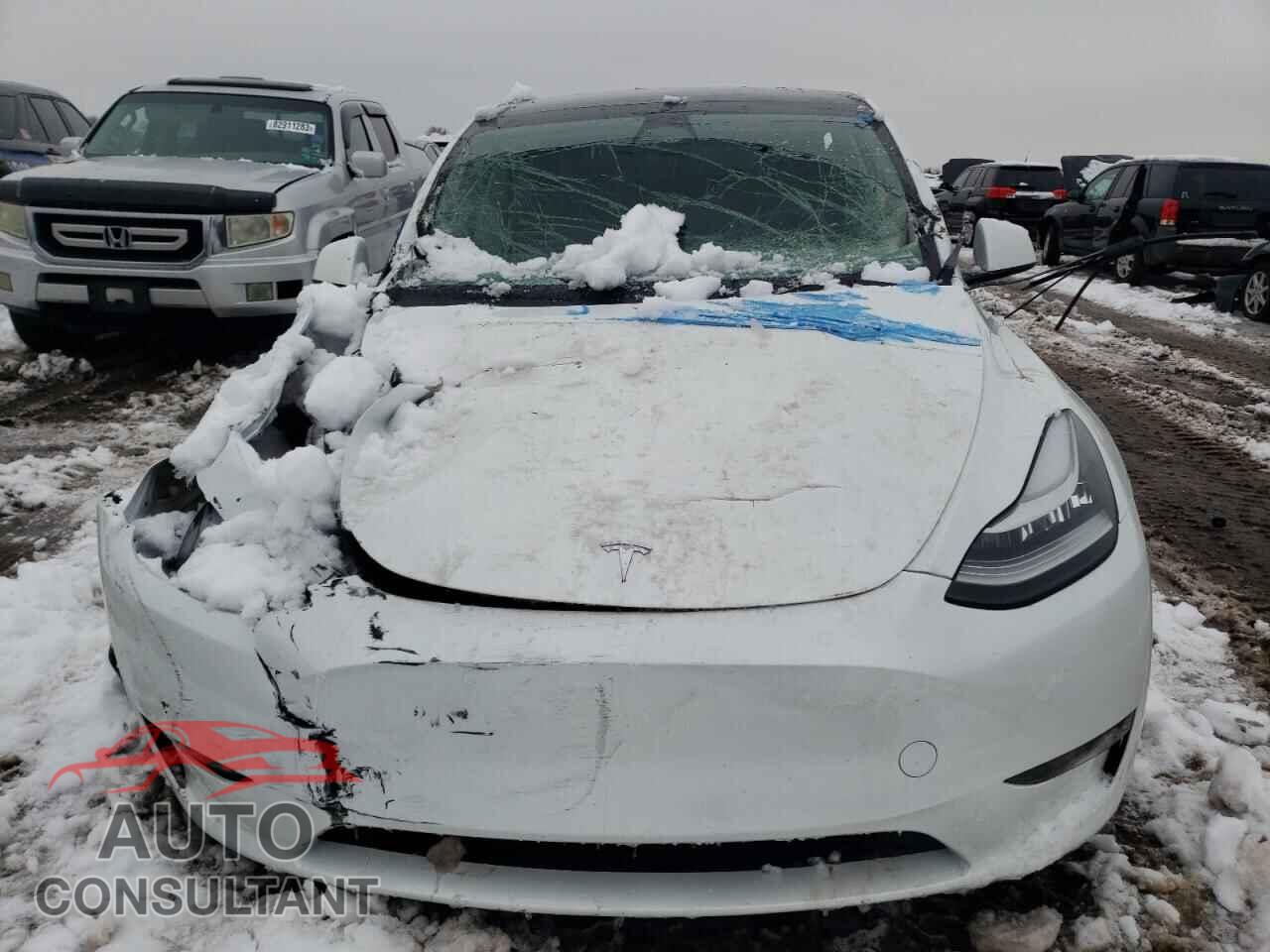 TESLA MODEL Y 2023 - 7SAYGDEE2PF602844
