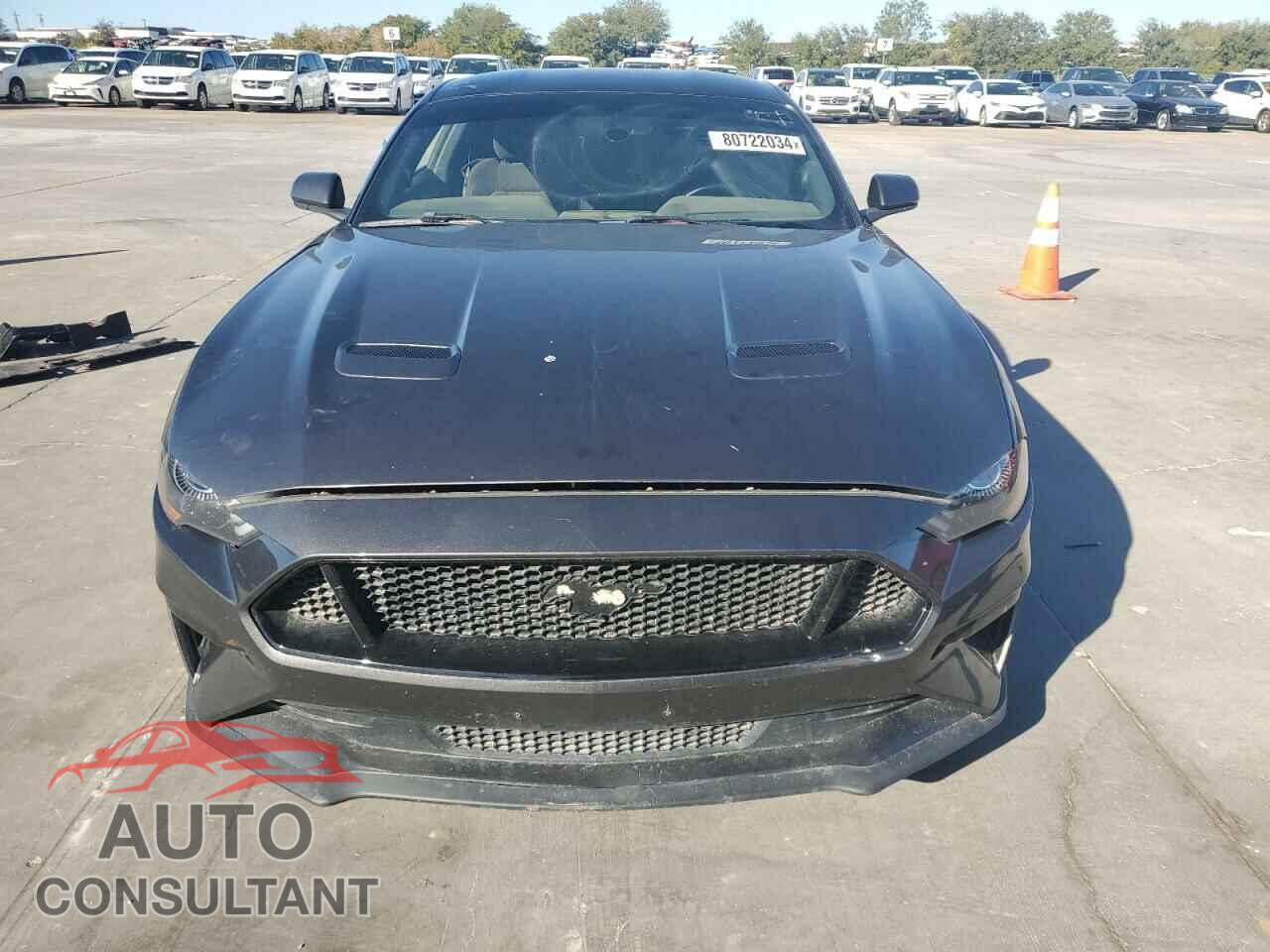 FORD MUSTANG 2019 - 1FA6P8CF6K5102175