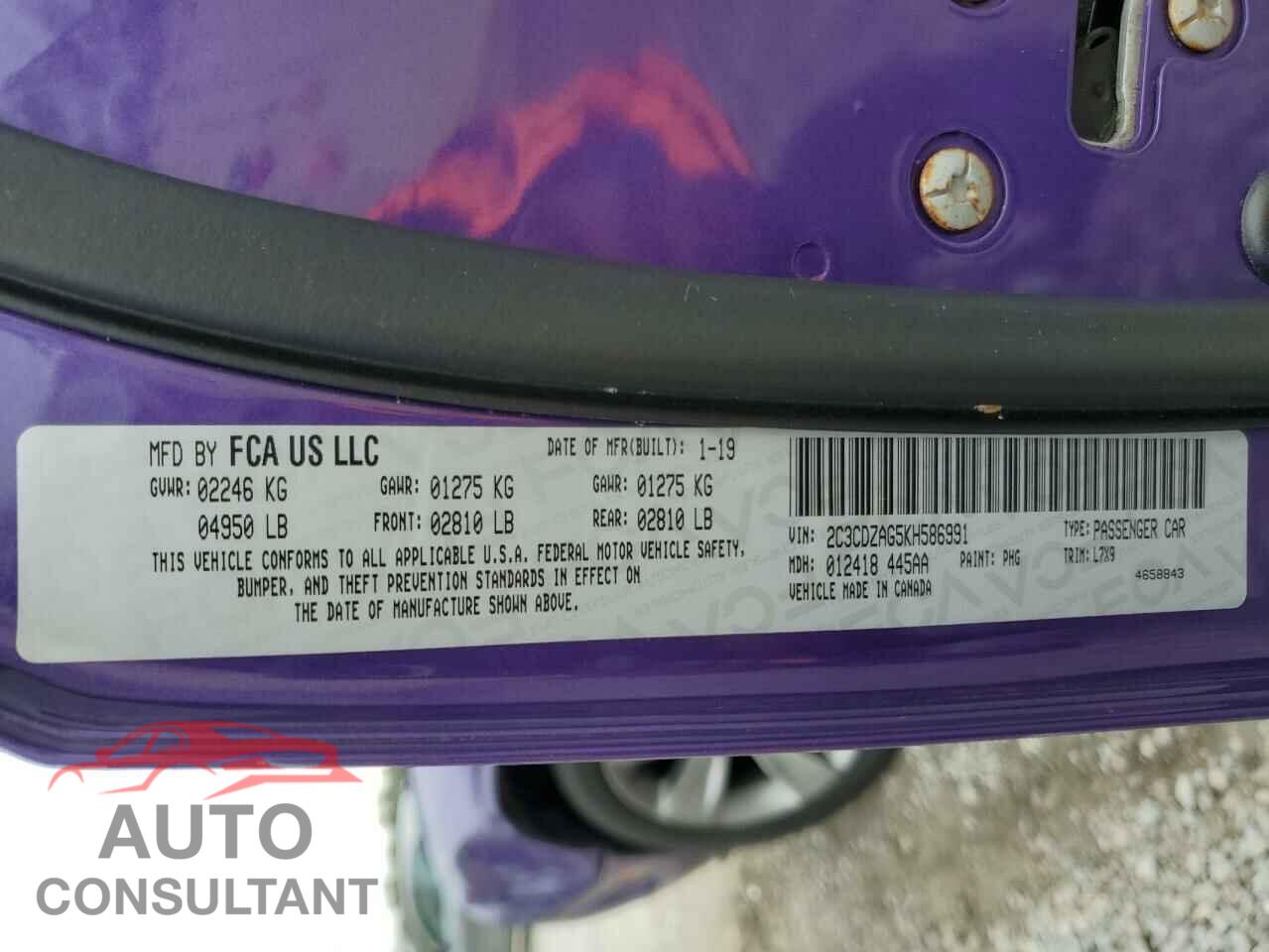 DODGE CHALLENGER 2019 - 2C3CDZAG5KH586991