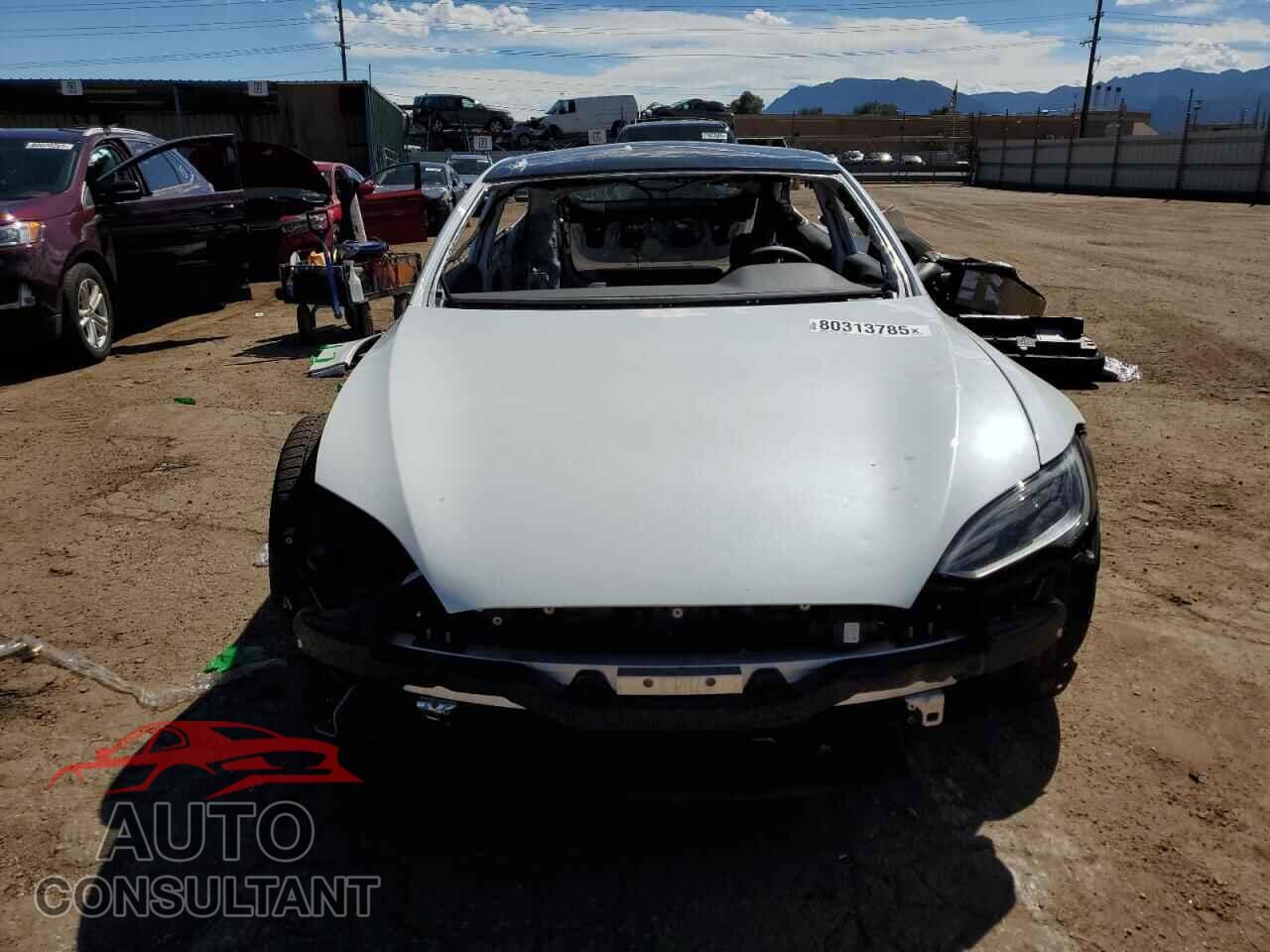 TESLA MODEL S 2024 - 5YJSA1E60RF541217