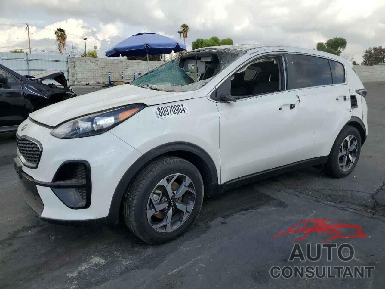 KIA SPORTAGE 2022 - KNDPM3AC3N7015538