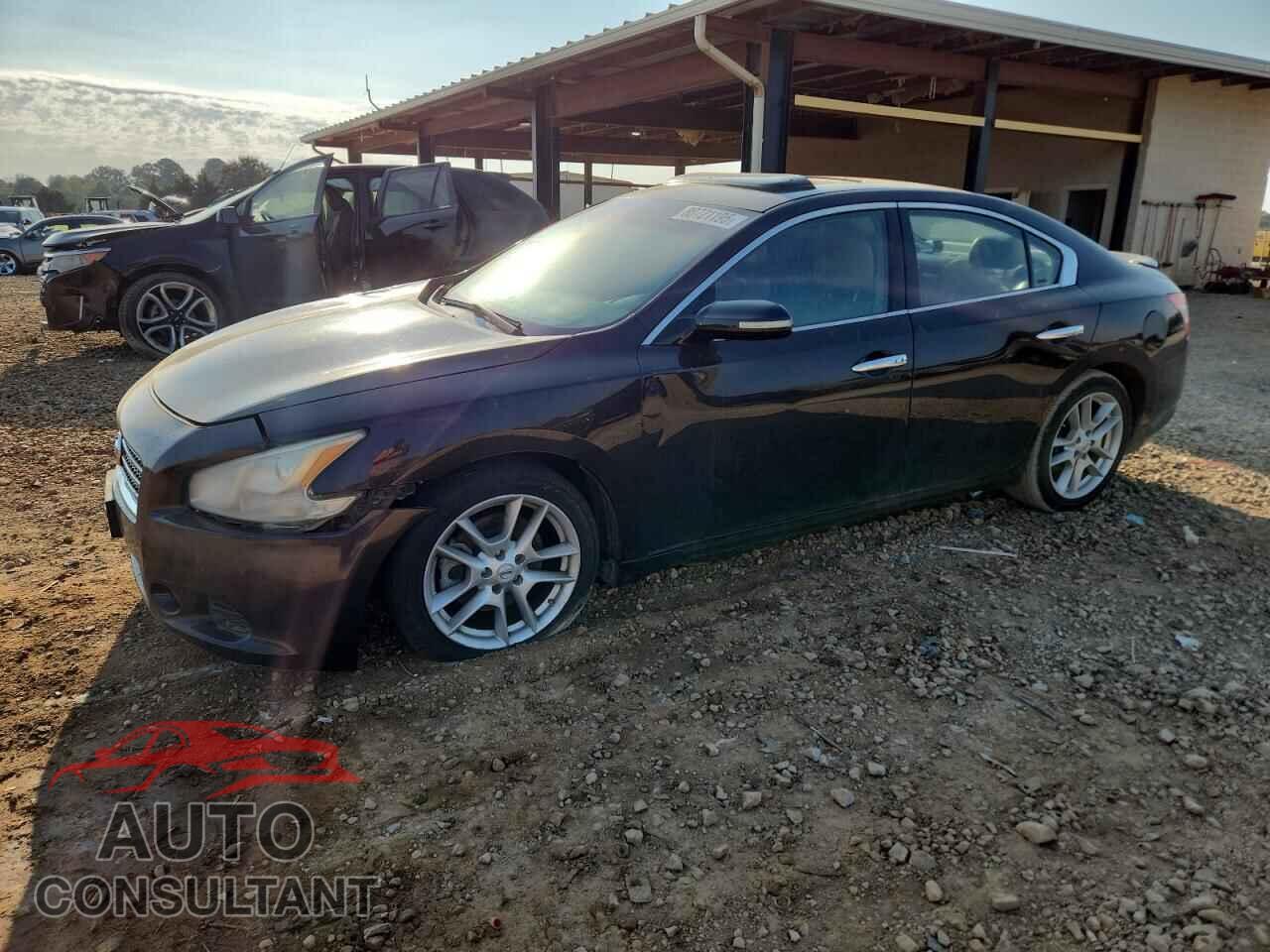 NISSAN MAXIMA 2010 - 1N4AA5APXAC858320