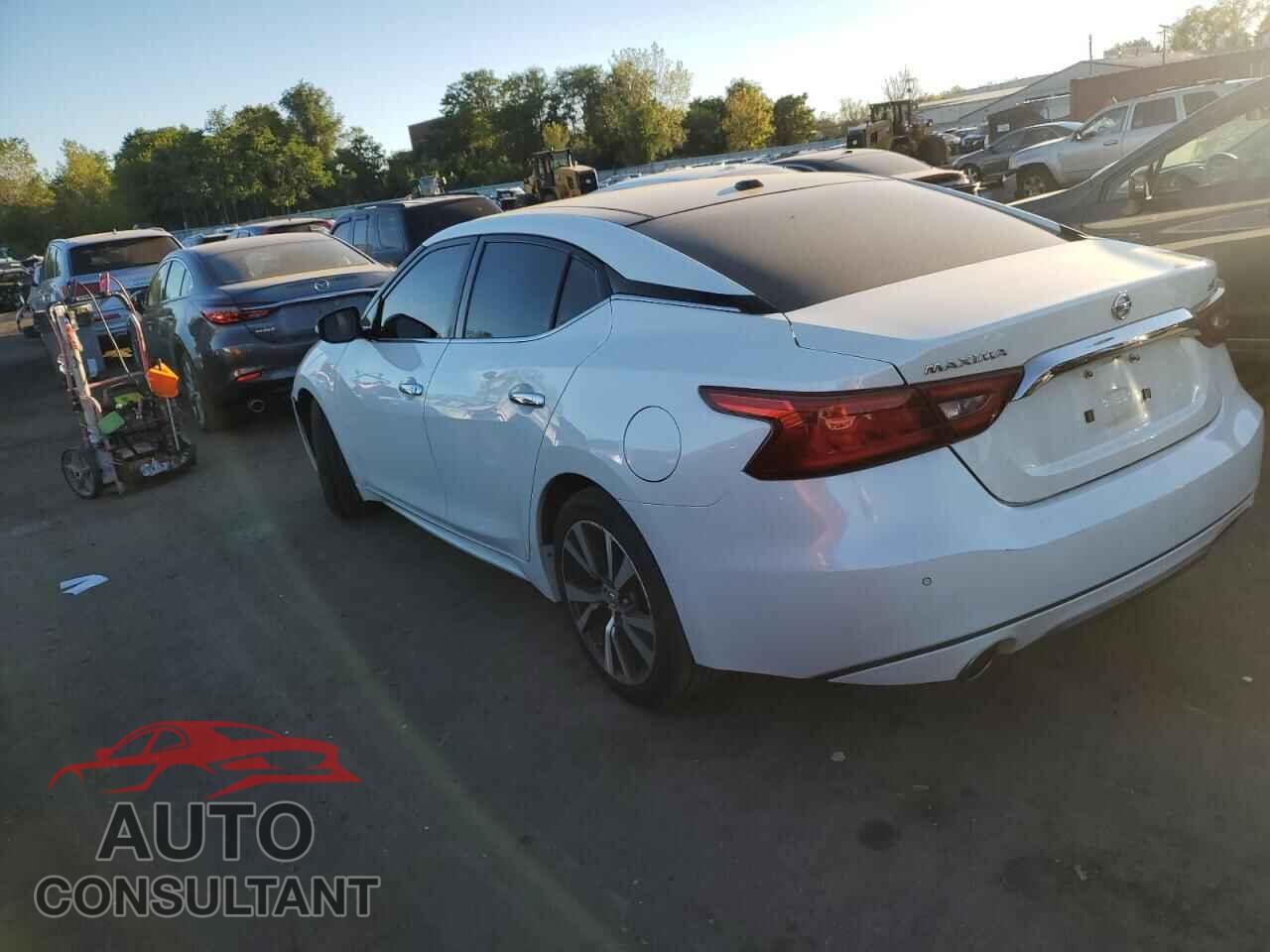 NISSAN MAXIMA 2017 - 1N4AA6AP9HC372355