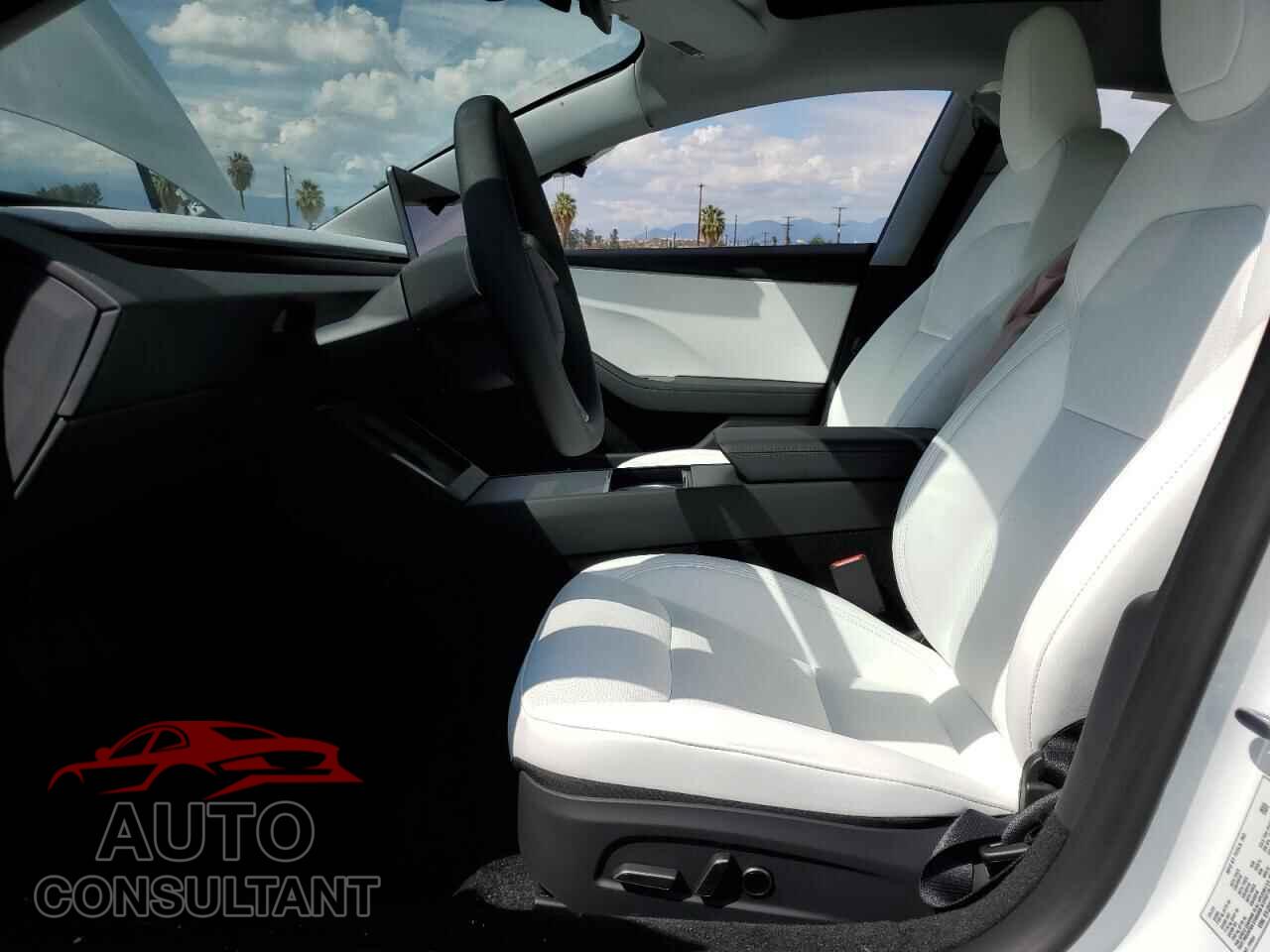 TESLA MODEL 3 2025 - 5YJ3E1EA3SF024285