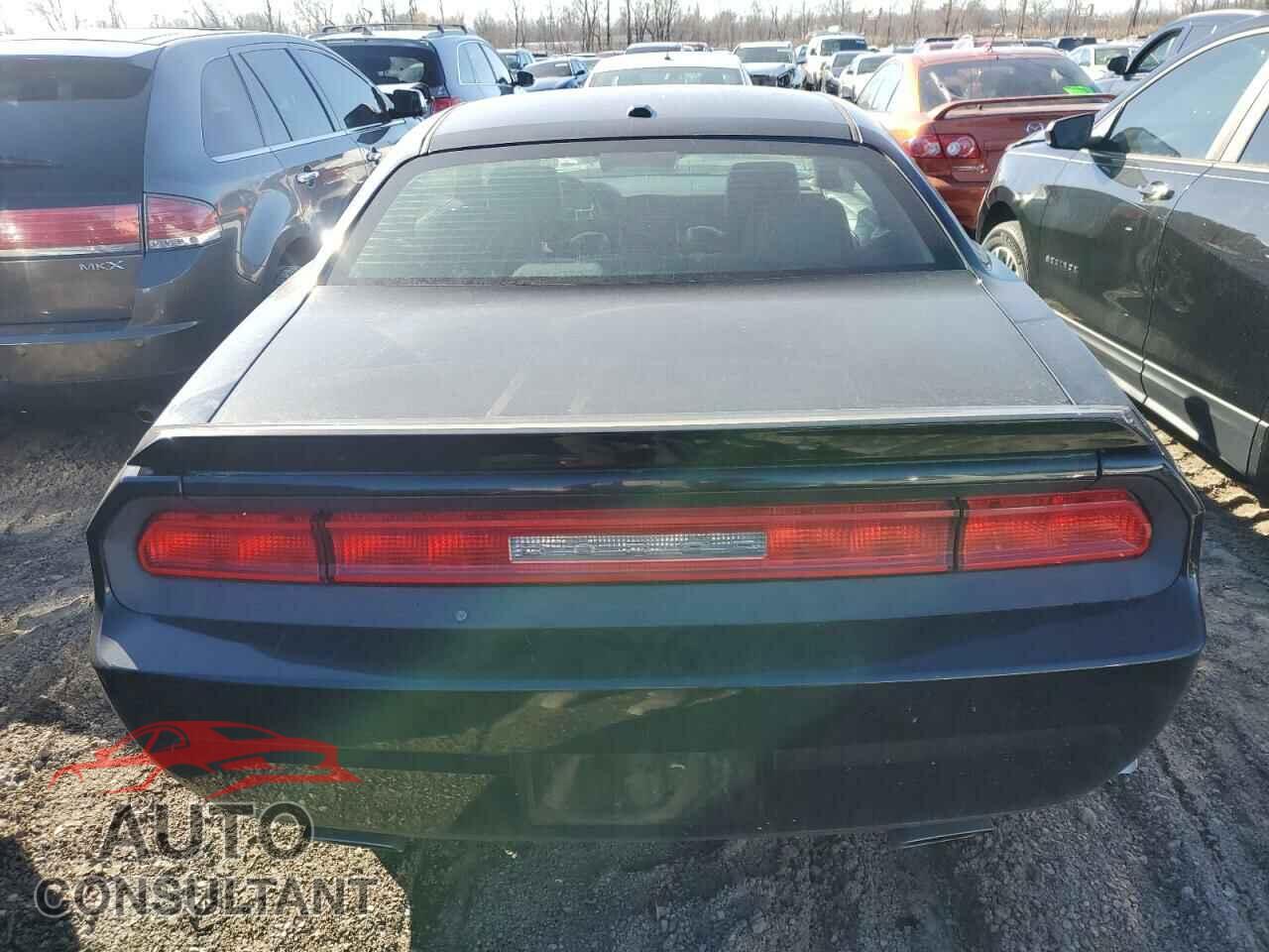 DODGE CHALLENGER 2010 - 2B3CJ5DT3AH215964