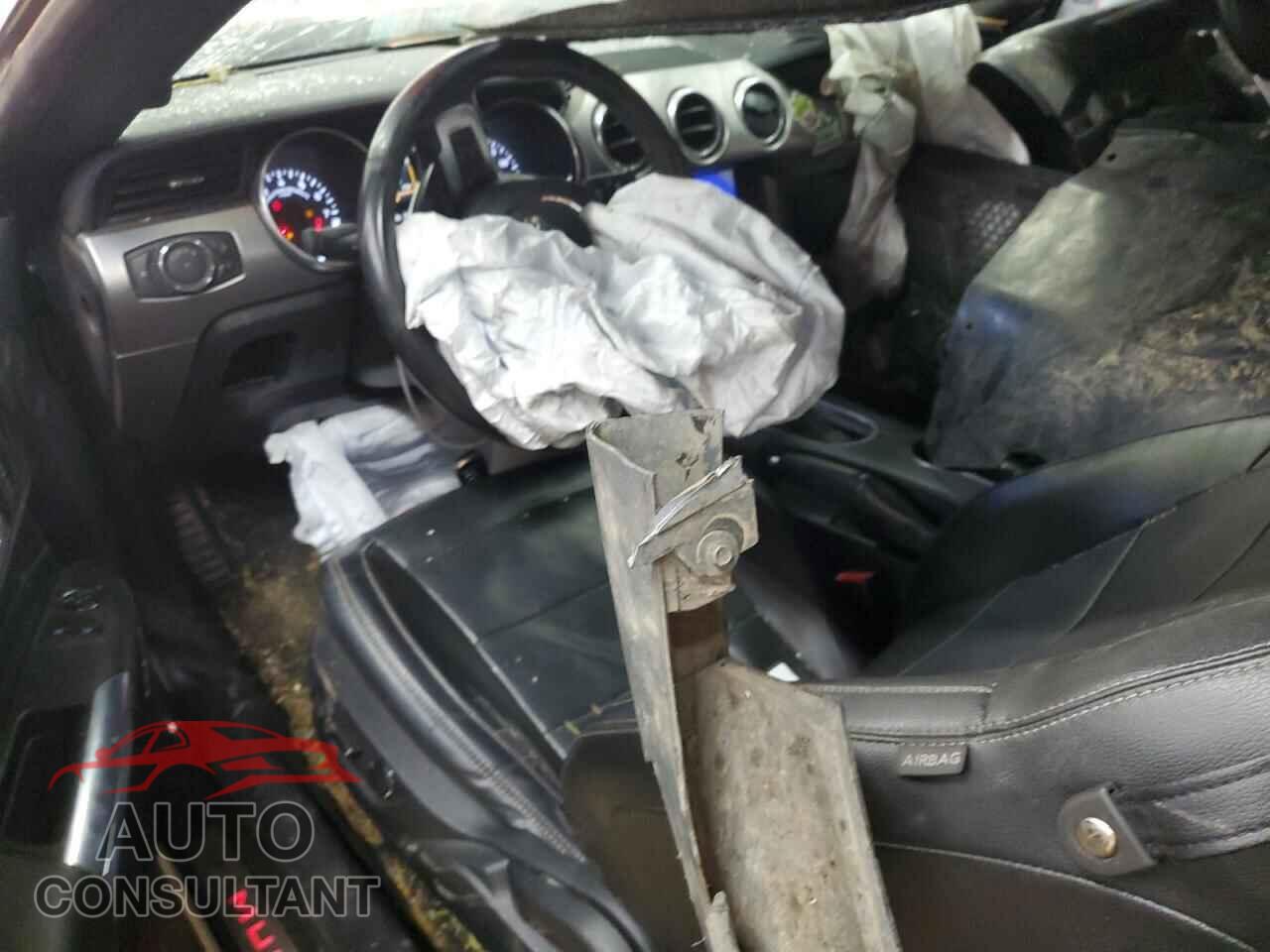 FORD MUSTANG 2019 - 1FA6P8CF4K5122487
