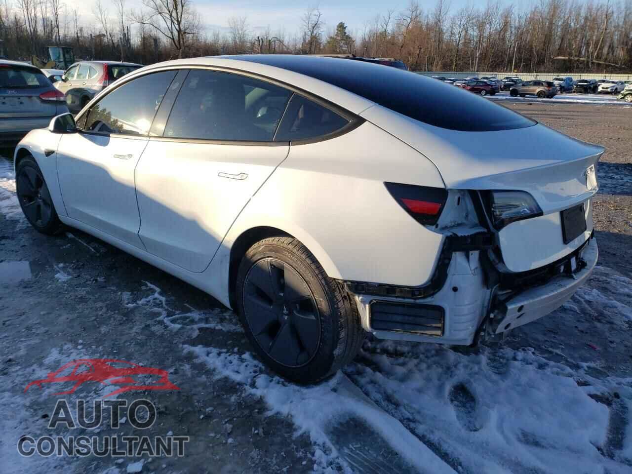 TESLA MODEL 3 2021 - 5YJ3E1EA2MF907779