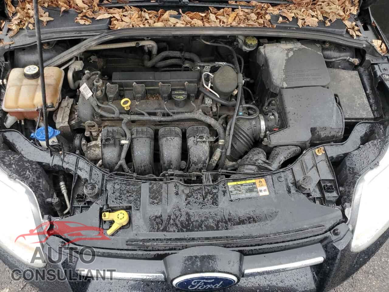 FORD FOCUS 2012 - 1FAHP3K24CL421498