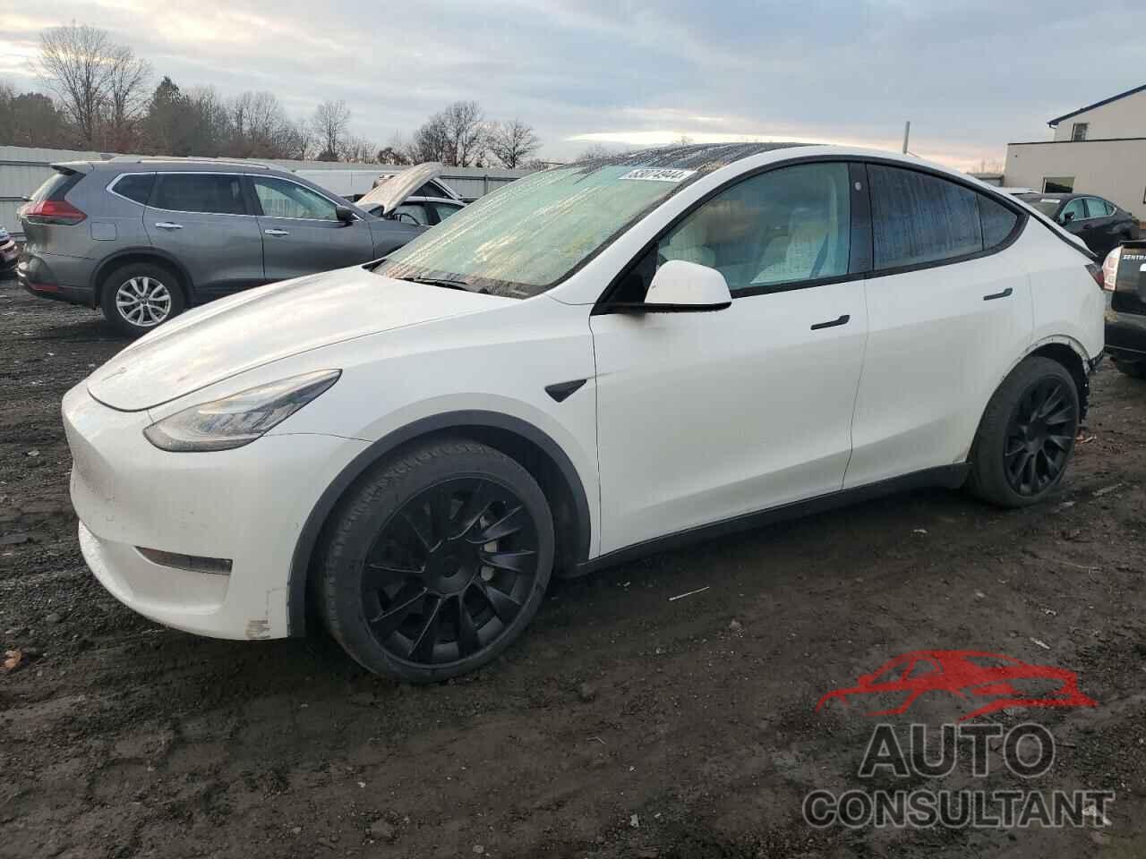 TESLA MODEL Y 2021 - 5YJYGDEE5MF075066