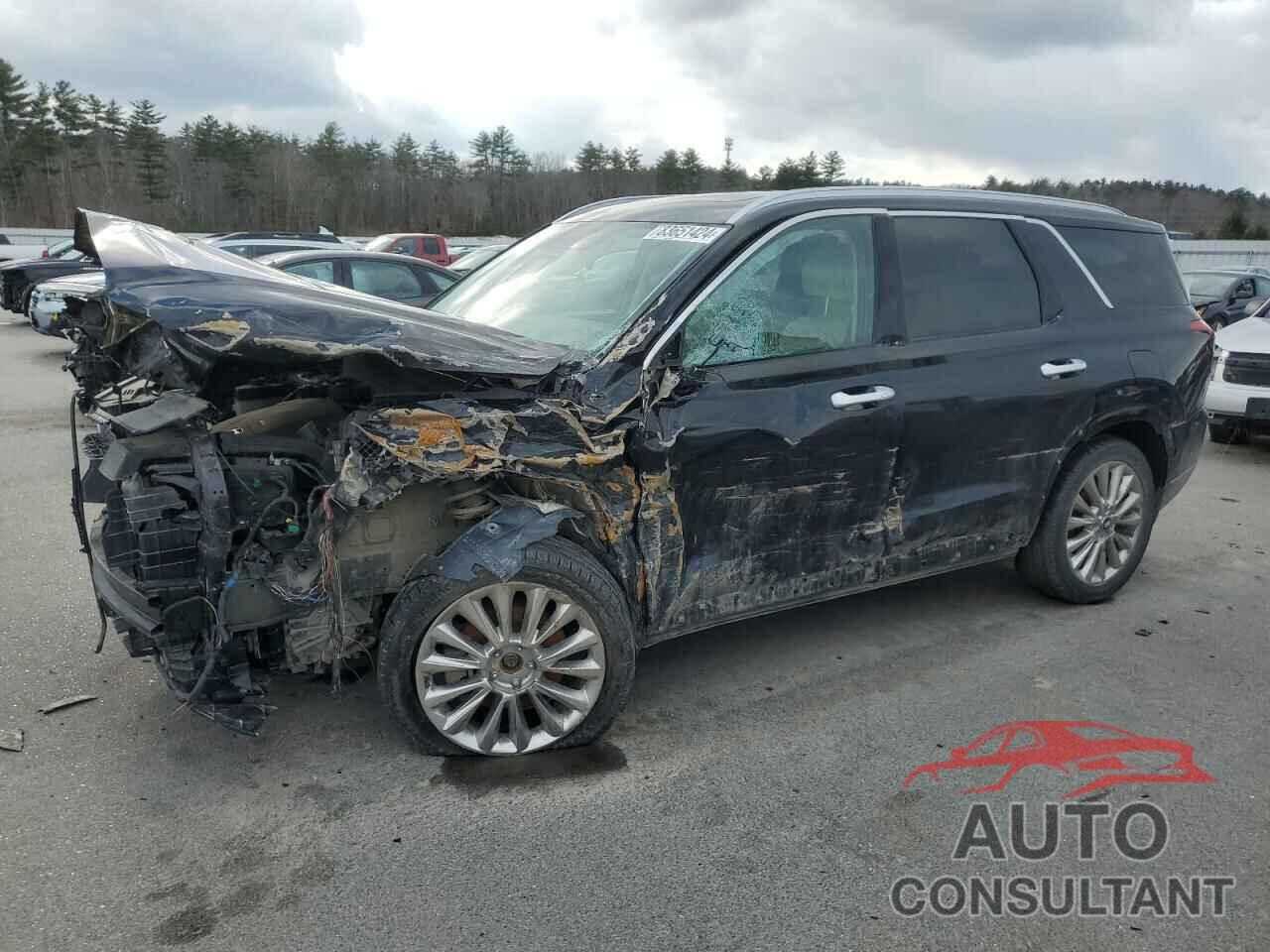HYUNDAI PALISADE 2020 - KM8R5DHE9LU111896