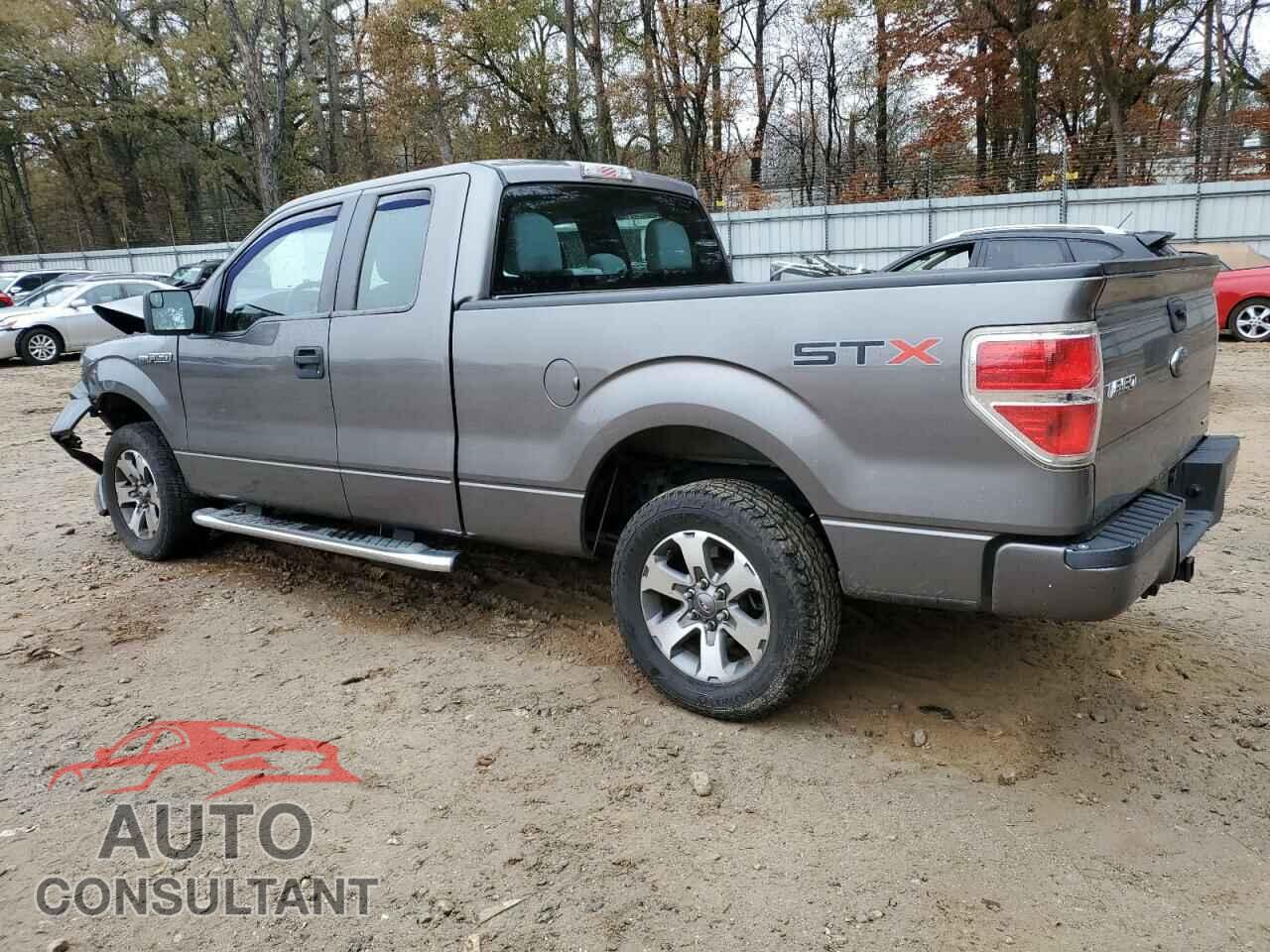 FORD F-150 2013 - 1FTFX1CF8DFD75455
