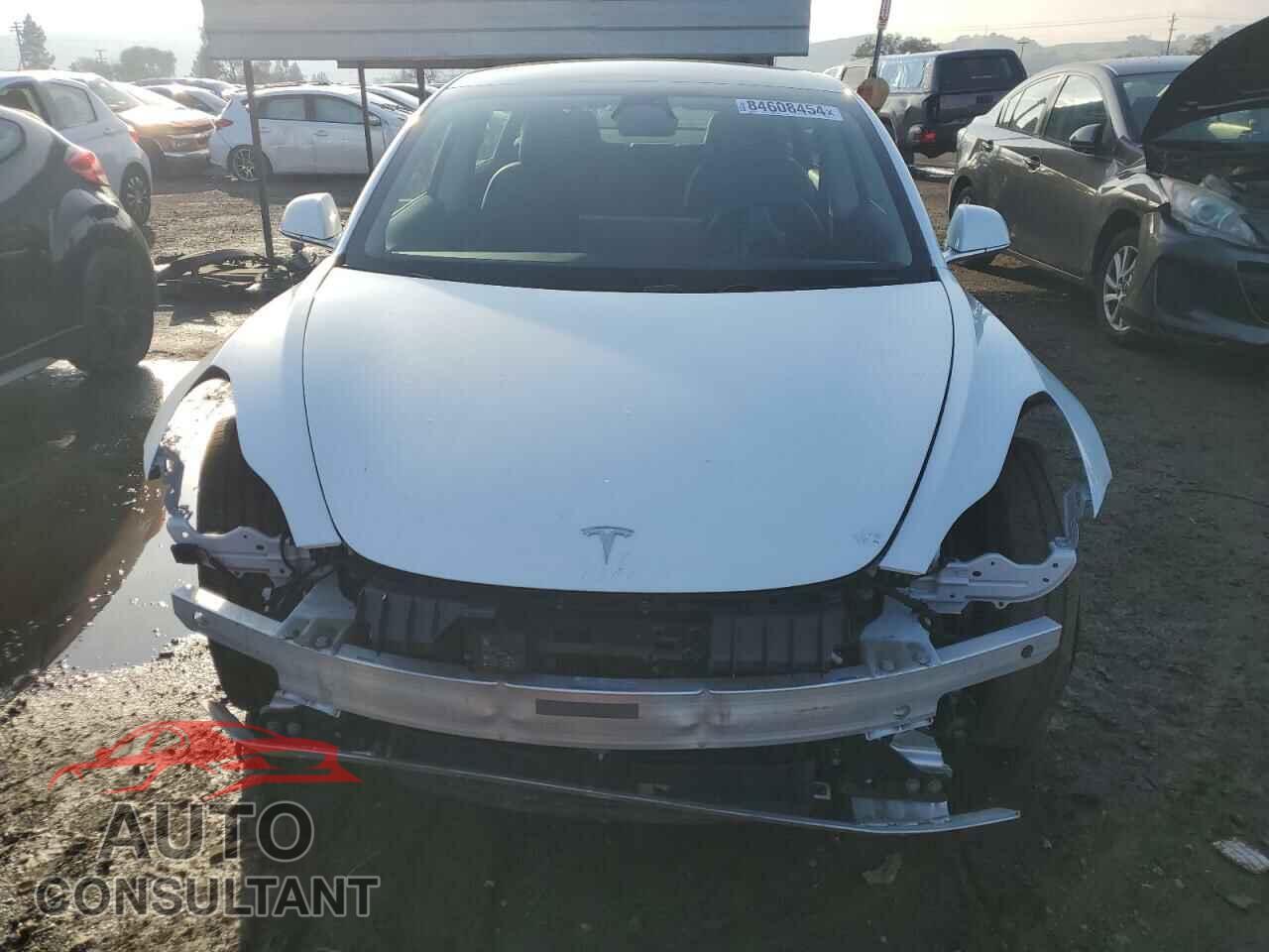 TESLA MODEL 3 2019 - 5YJ3E1EB1KF511882