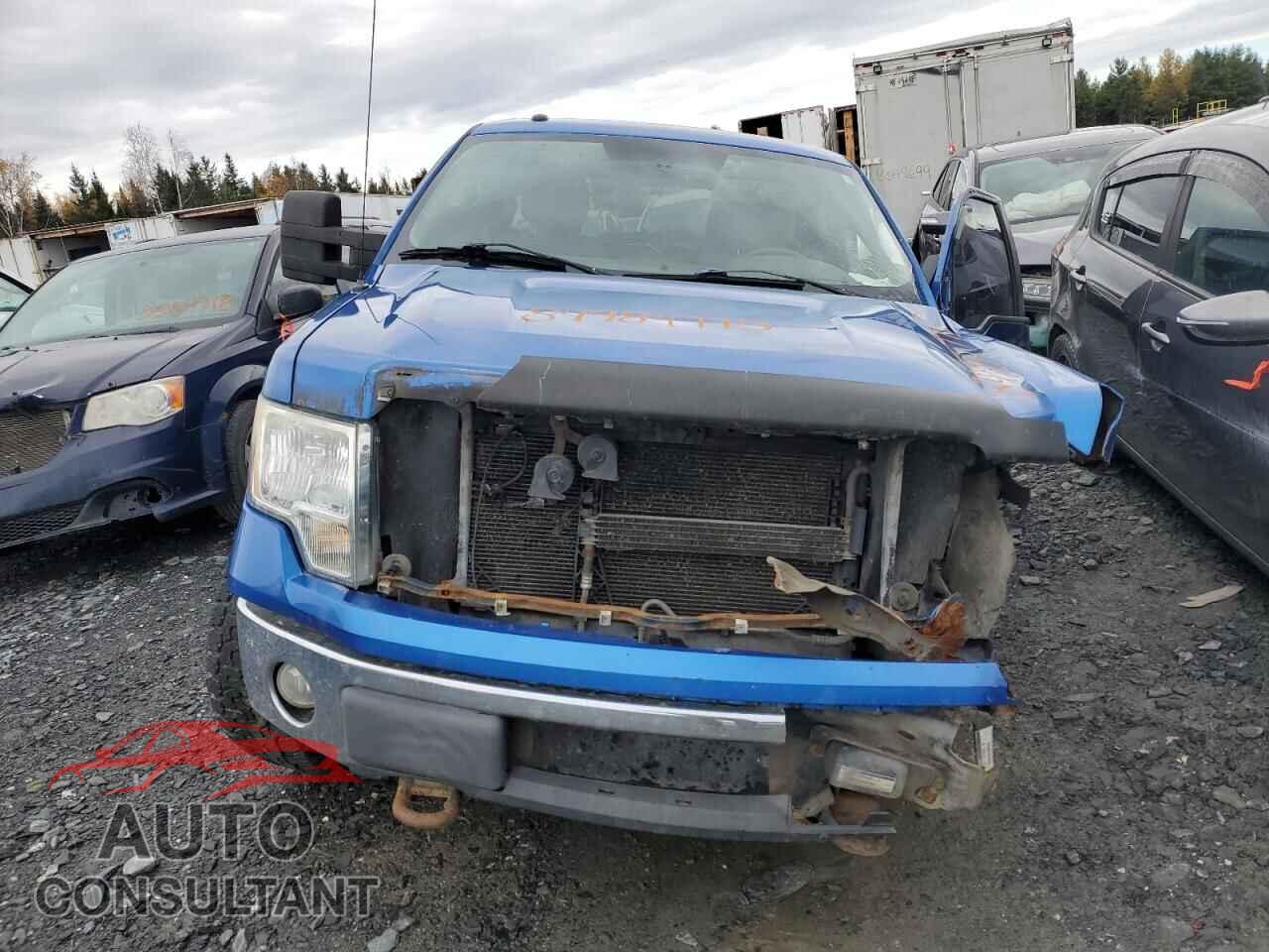 FORD F-150 2010 - 1FTFW1EV9AFD27983
