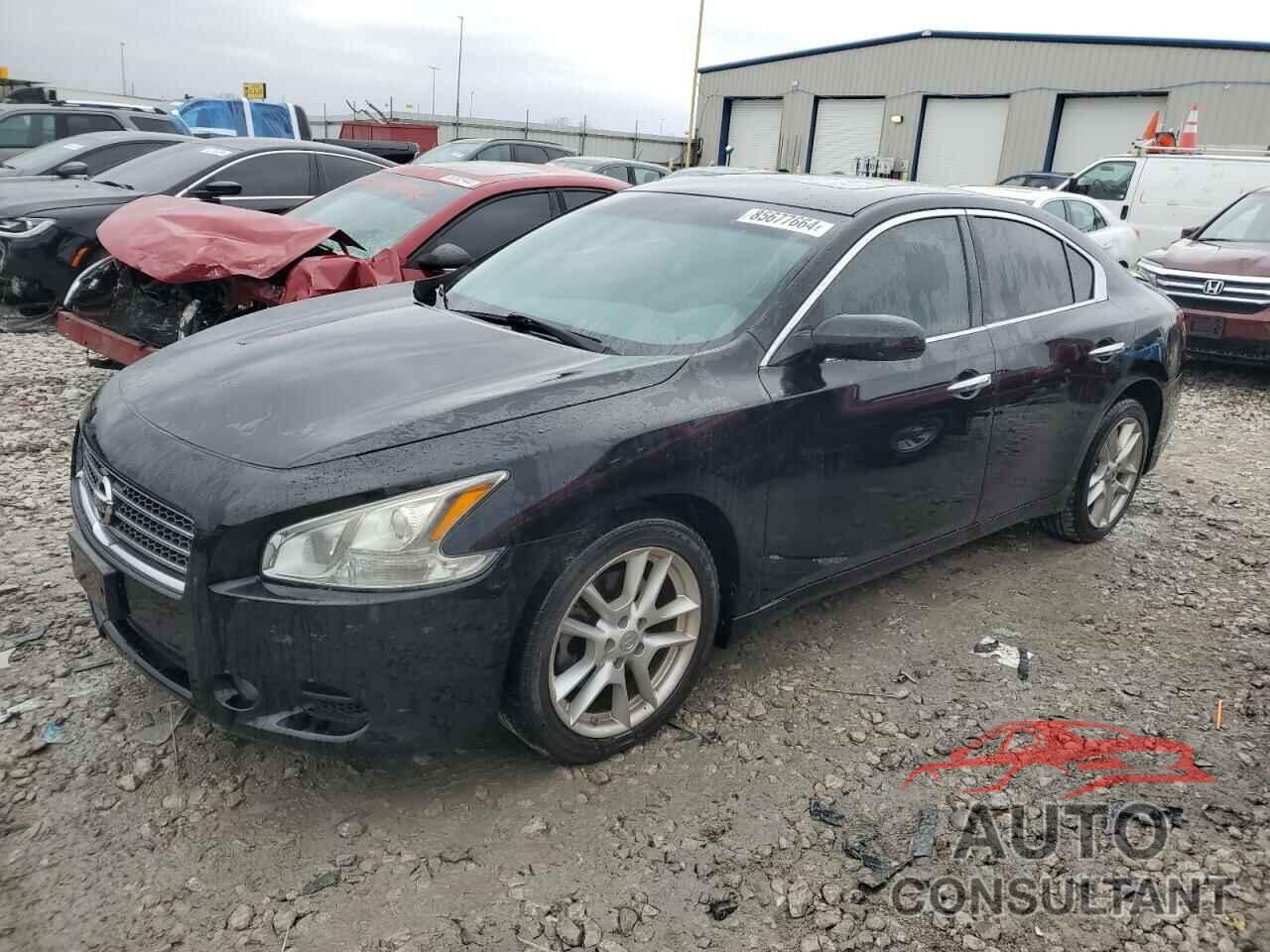 NISSAN MAXIMA 2009 - 1N4AA51E79C861203