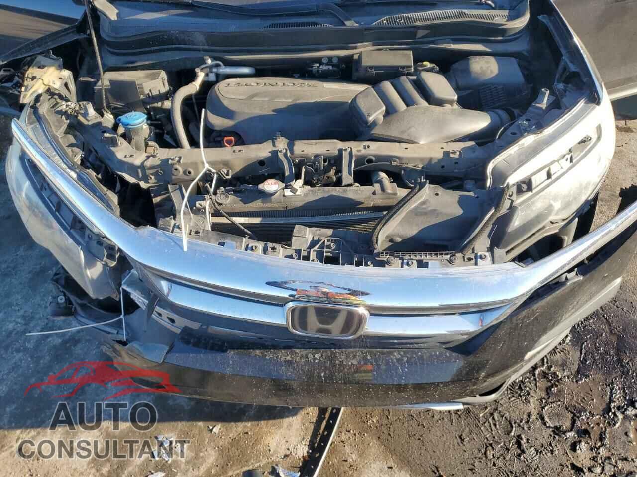 HONDA PILOT 2019 - 5FNYF5H52KB042172