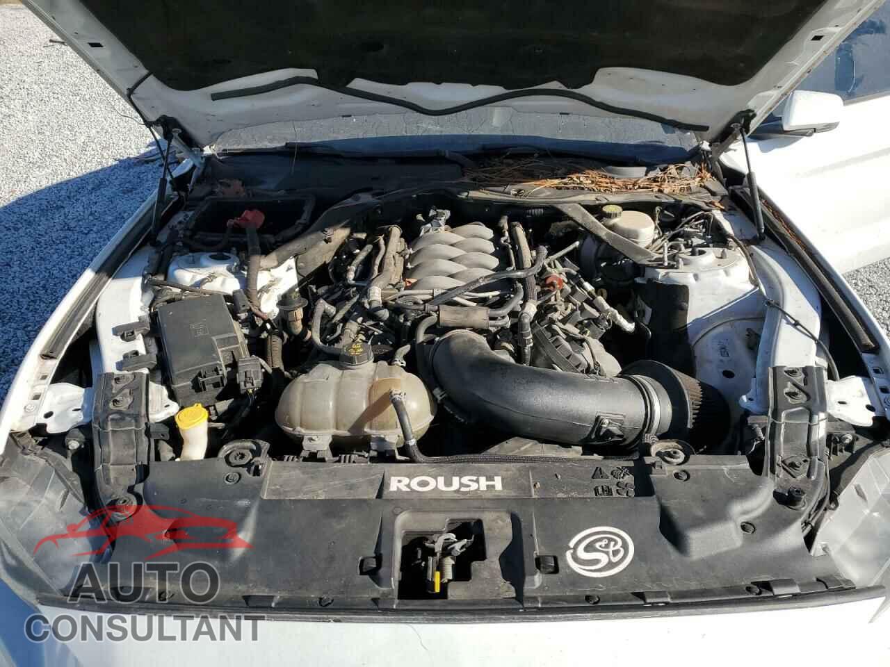 FORD MUSTANG 2019 - 1FA6P8CF3K5116633