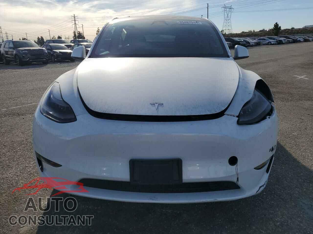 TESLA MODEL Y 2023 - 7SAYGAEE2PF832009