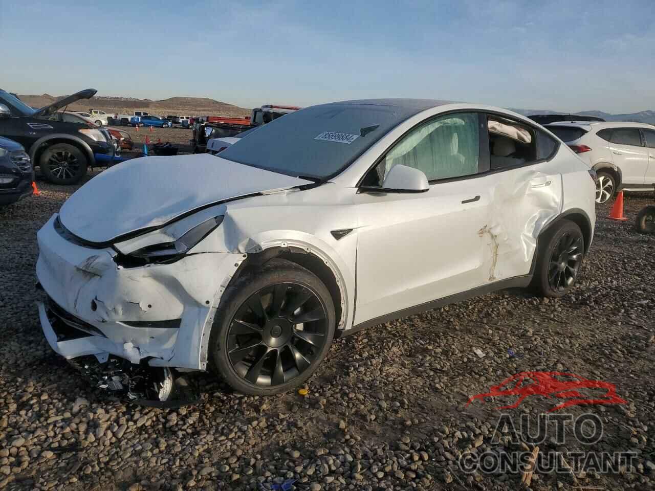 TESLA MODEL Y 2021 - 5YJYGDEE1MF100366
