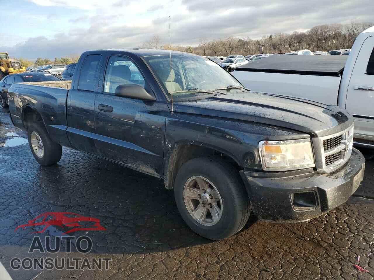 DODGE DAKOTA 2011 - 1D7RW2BK3BS602758