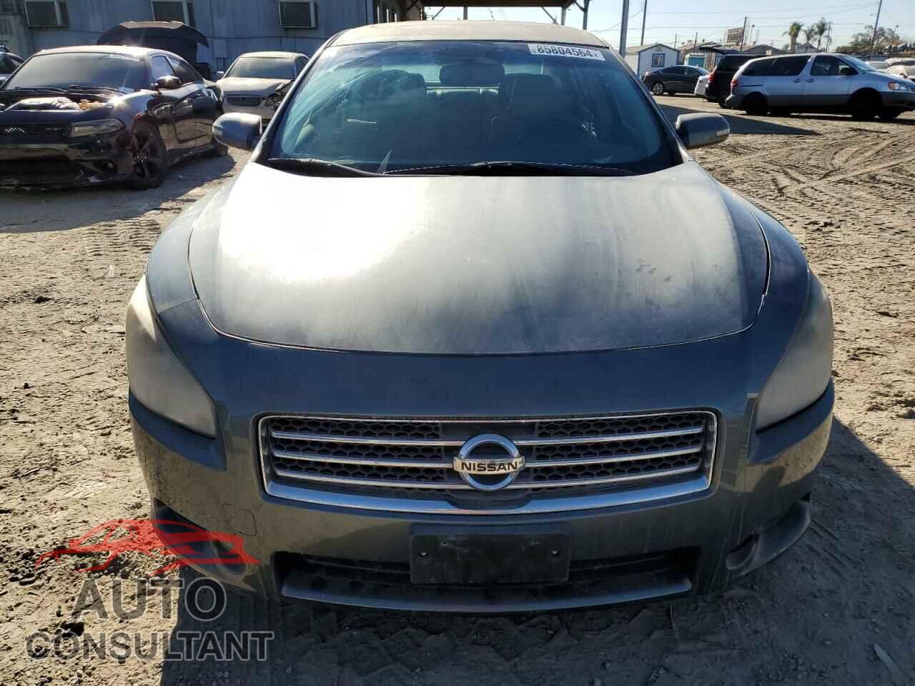 NISSAN MAXIMA 2009 - 1N4AA51E39C822592