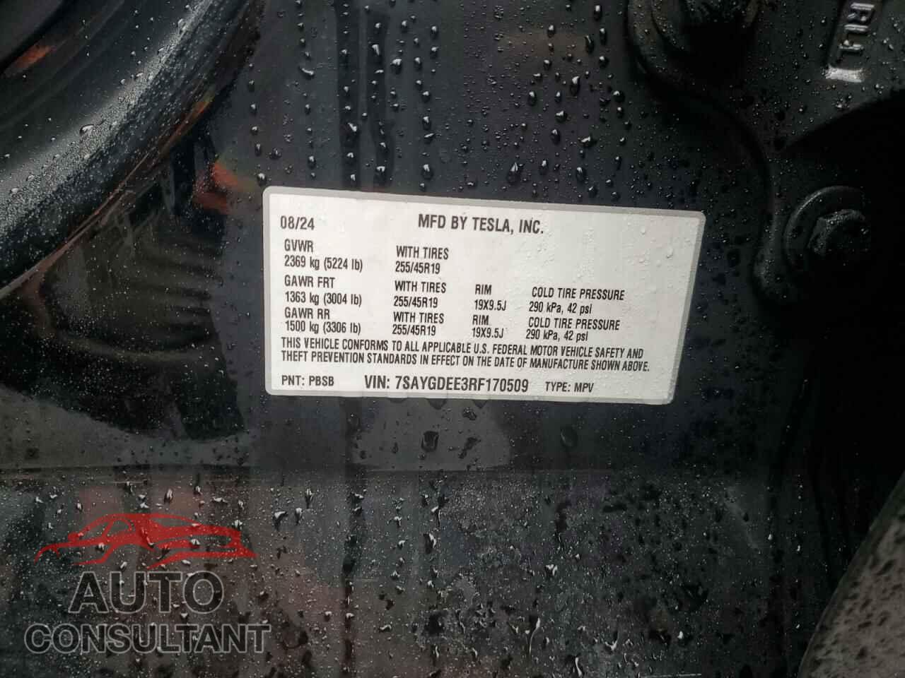 TESLA MODEL Y 2024 - 7SAYGDEE3RF170509