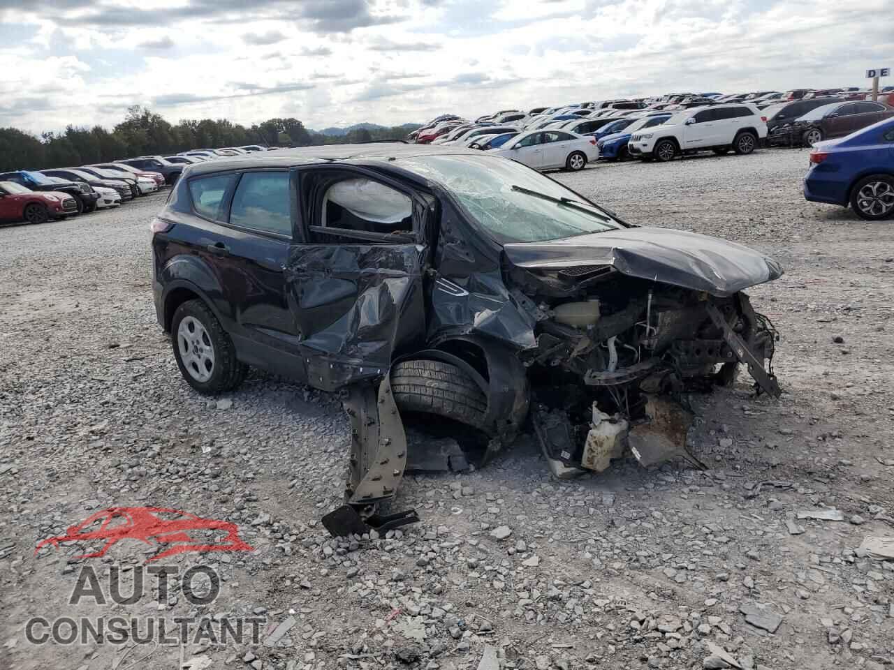 FORD ESCAPE 2017 - 1FMCU0F73HUB86445