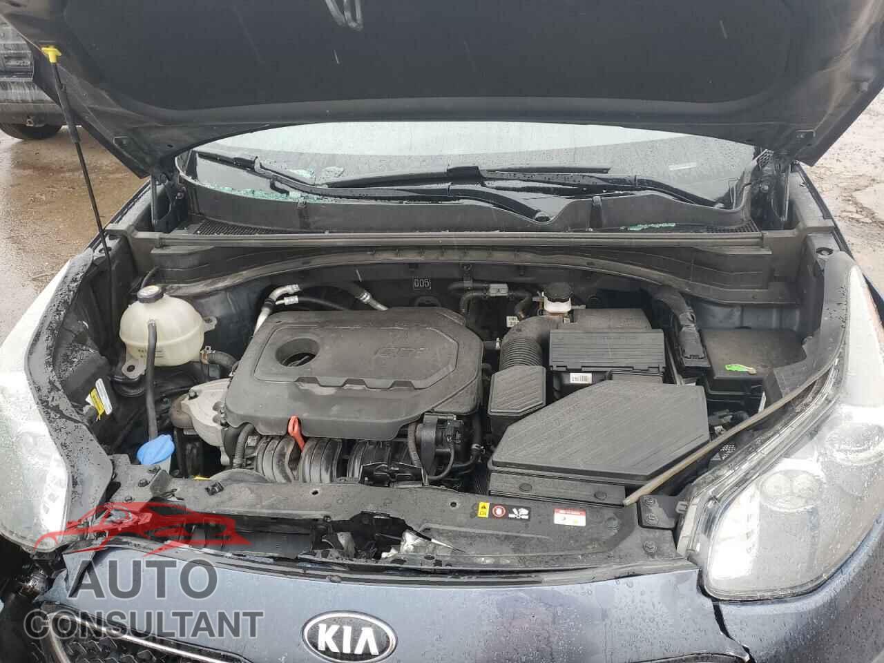 KIA SPORTAGE 2019 - KNDPN3AC2K7532404