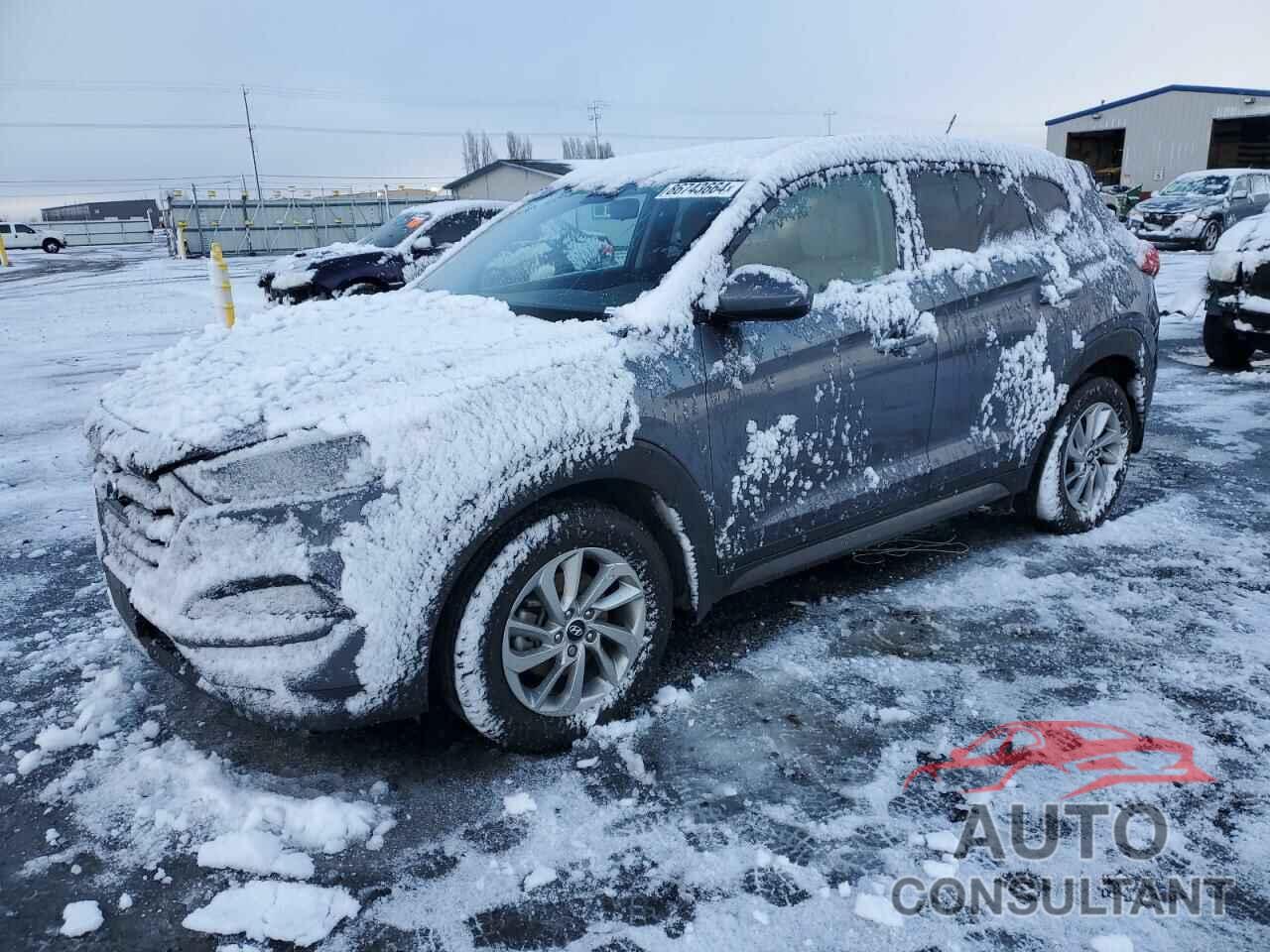 HYUNDAI TUCSON 2016 - KM8J3CA46GU240165