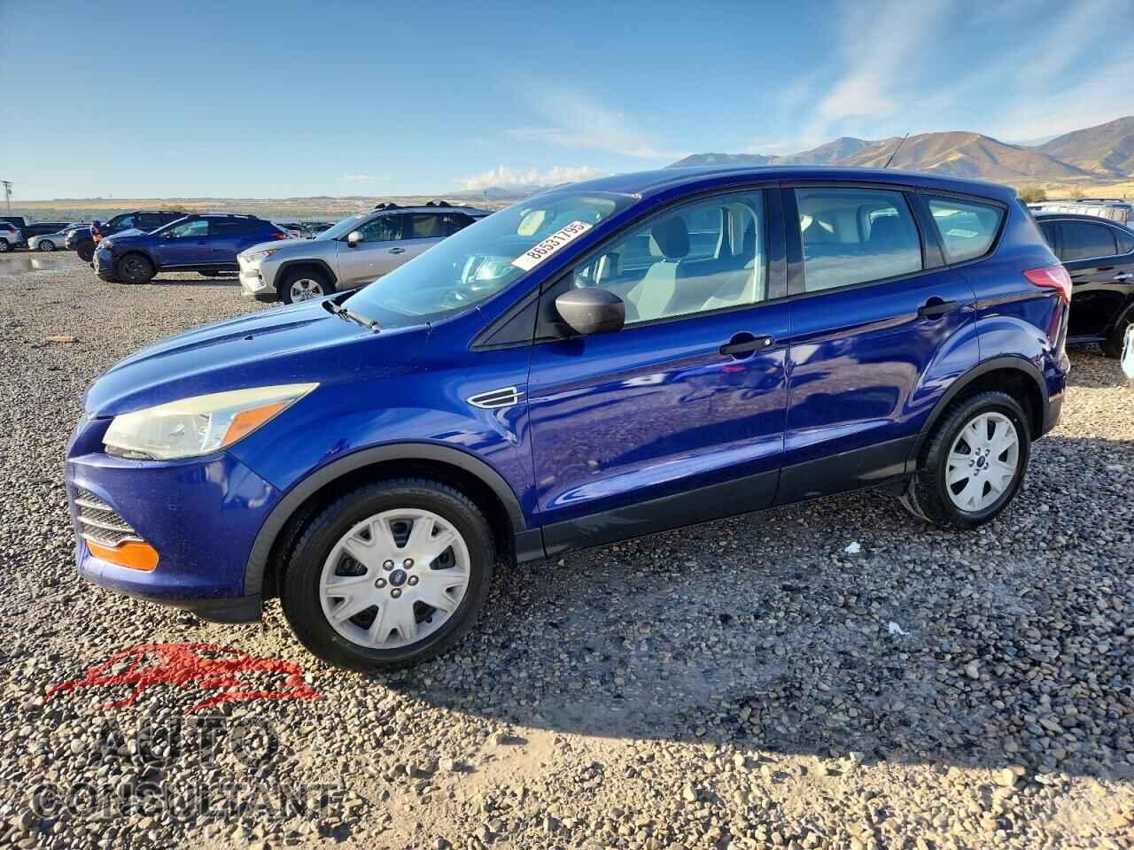 FORD ESCAPE 2013 - 1FMCU0F70DUD77539