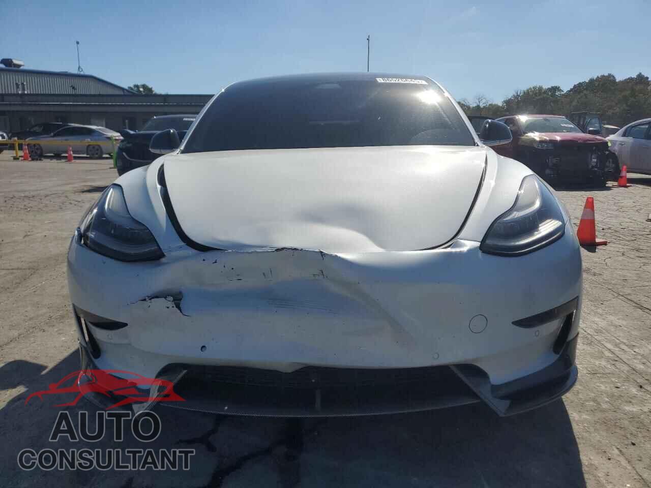 TESLA MODEL 3 2019 - 5YJ3E1EBXKF530186