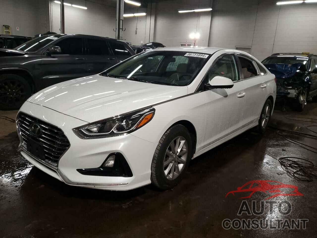 HYUNDAI SONATA 2019 - 5NPE24AFXKH763109
