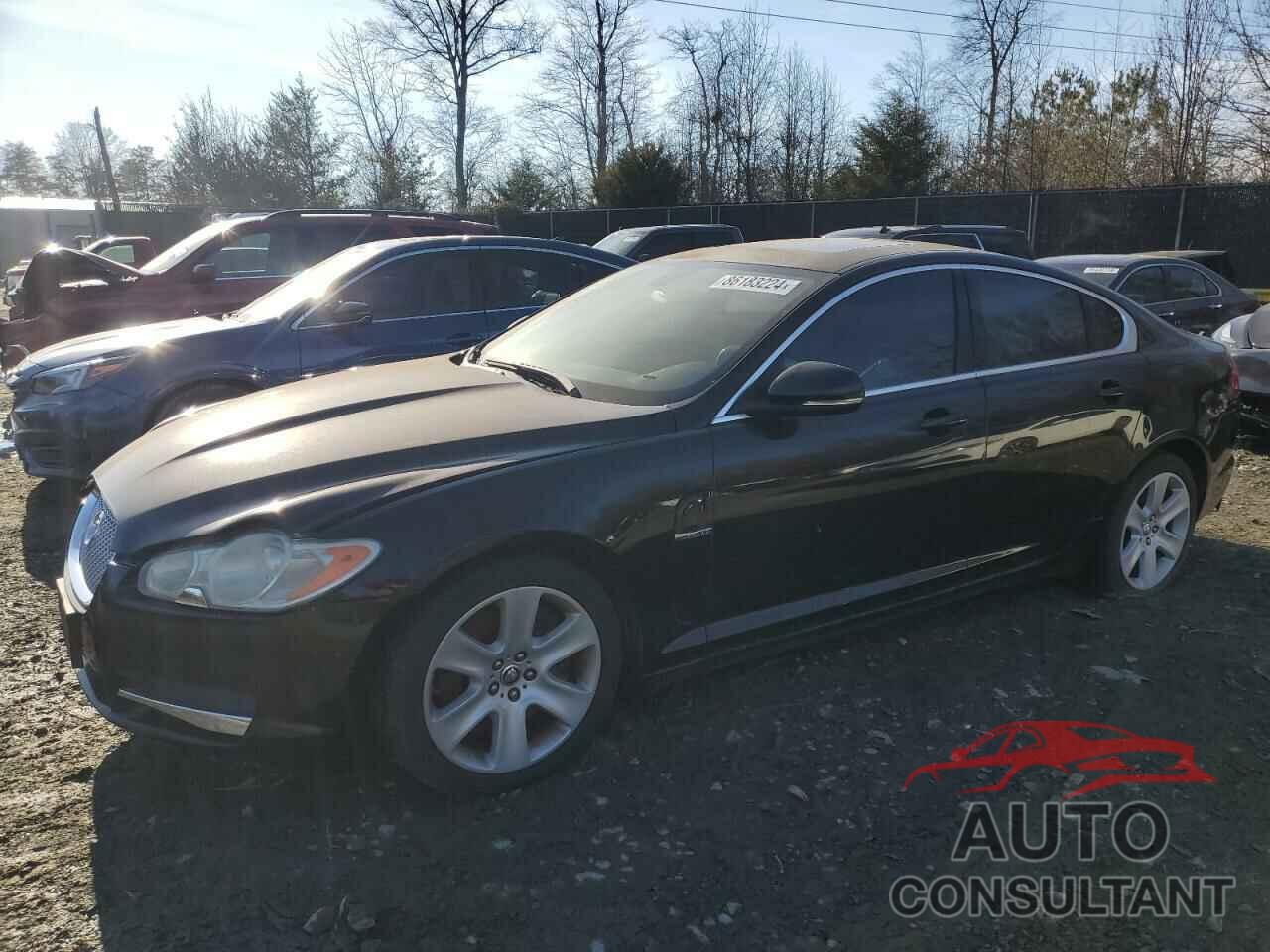 JAGUAR XF 2011 - SAJWA0FB1BLS11663