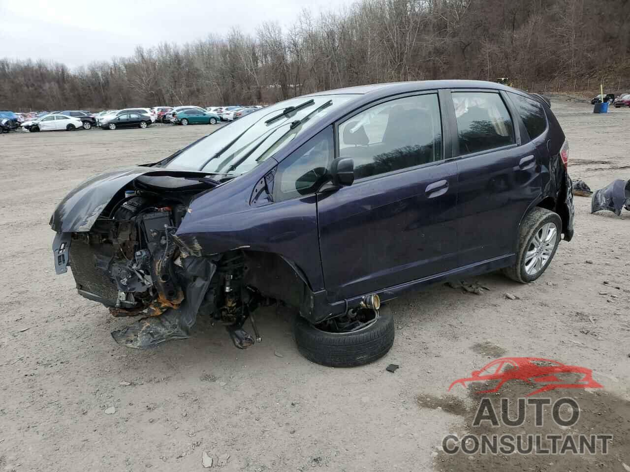 HONDA FIT 2009 - JHMGE88449S055525