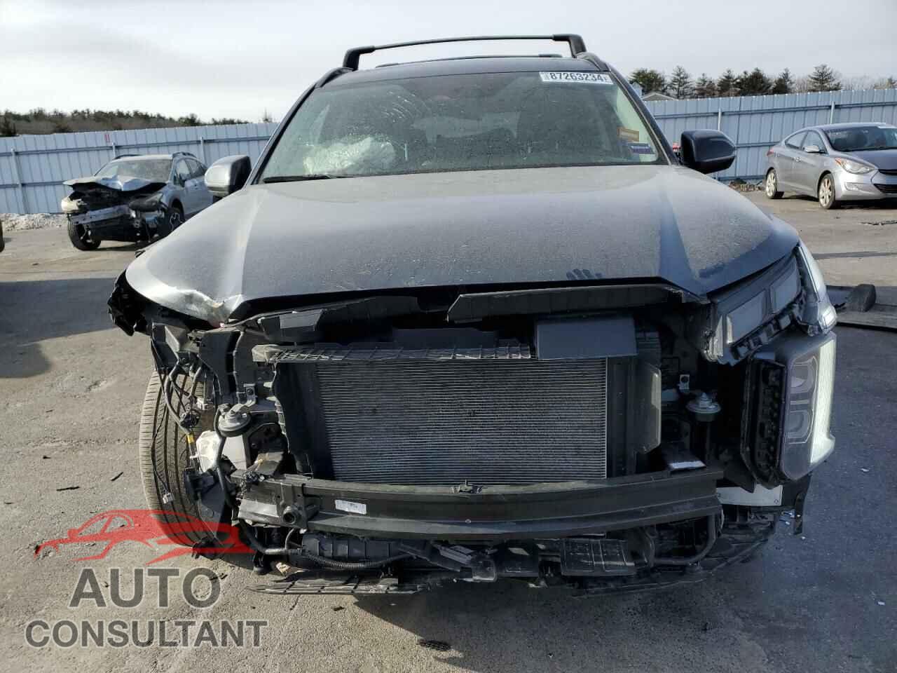 HYUNDAI PALISADE X 2024 - KM8R3DGE5RU742645