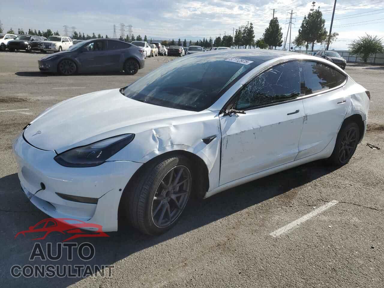 TESLA MODEL 3 2021 - 5YJ3E1EA5MF074687