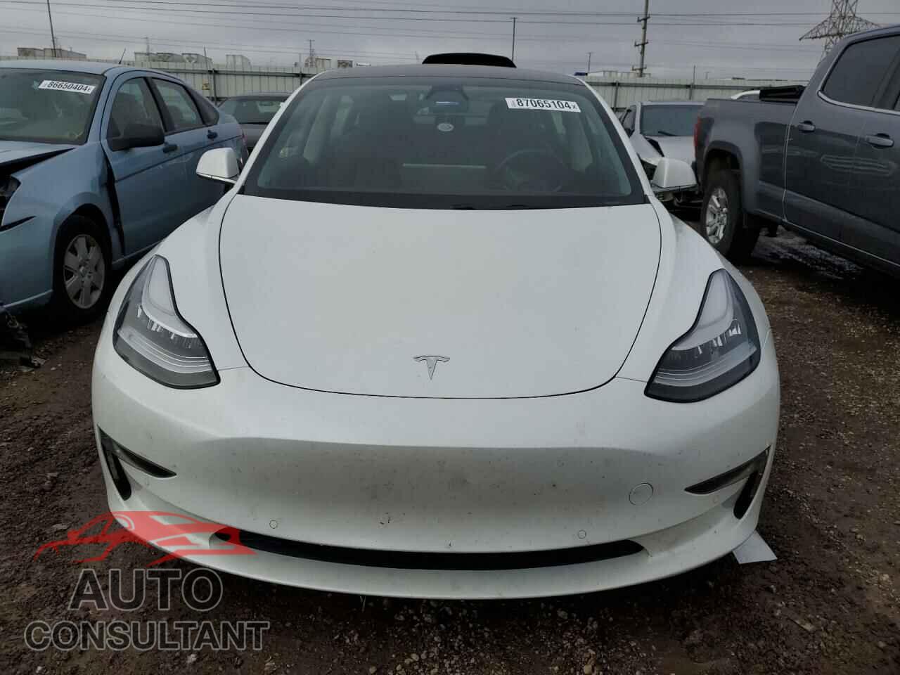 TESLA MODEL 3 2019 - 5YJ3E1EB0KF388317
