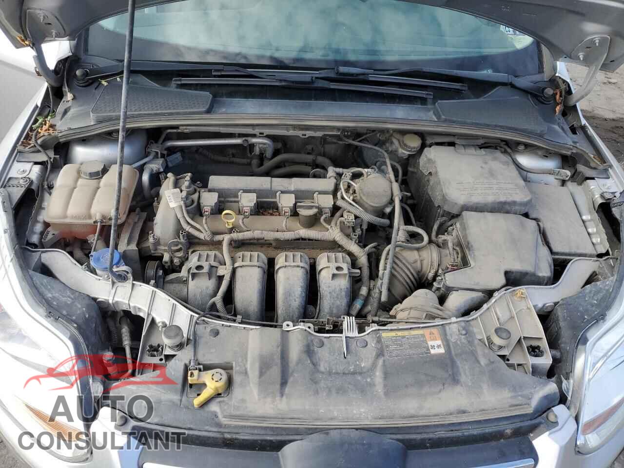 FORD FOCUS 2014 - 1FADP3F23EL221420