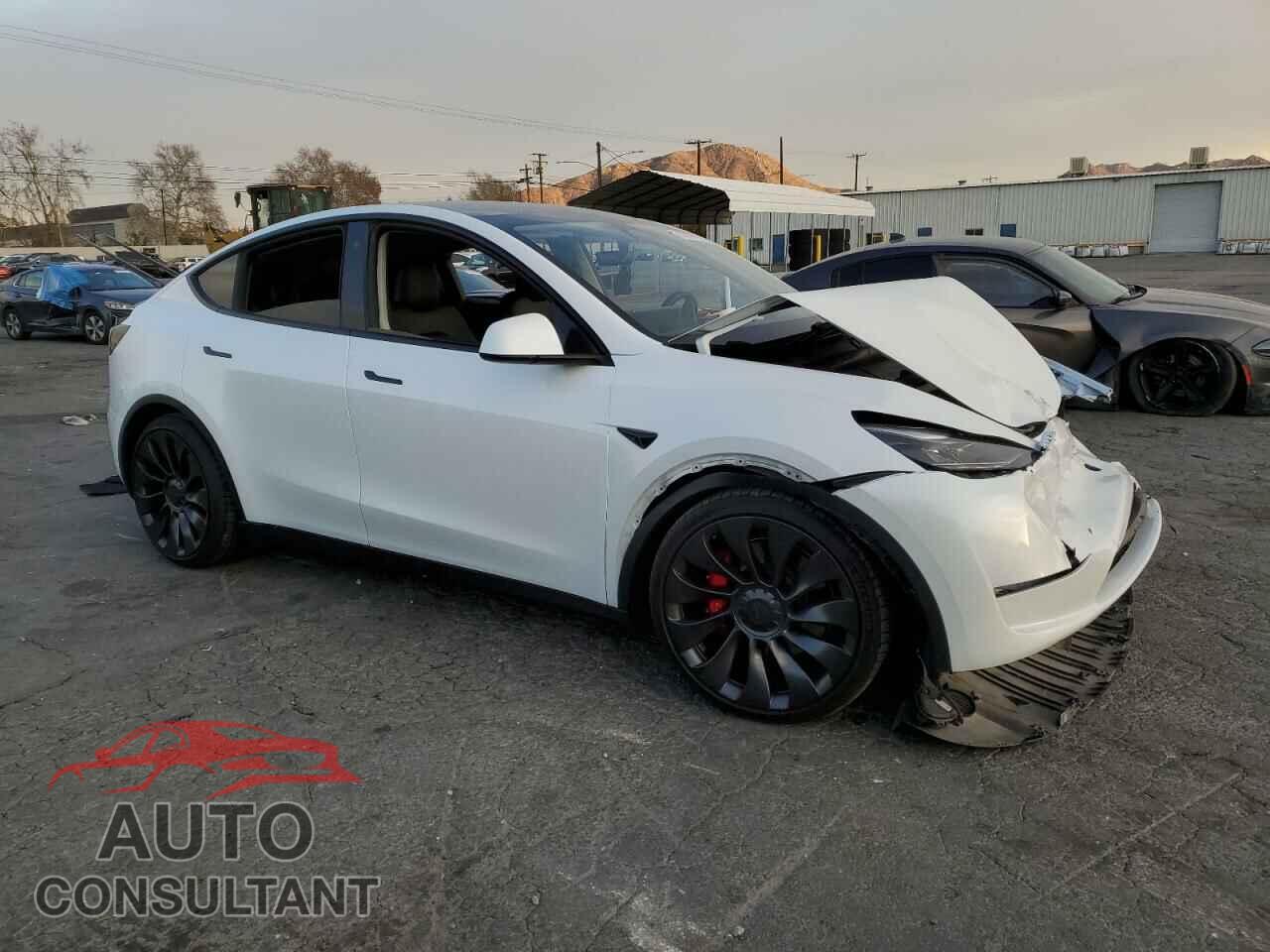 TESLA MODEL Y 2023 - 7SAYGDEF0PF769809