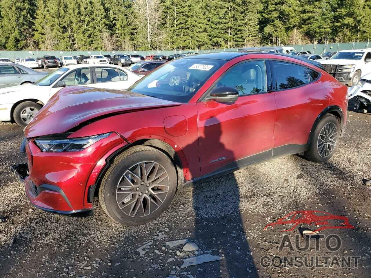 FORD MUSTANG 2024 - 3FMTK3SU3RMA26607