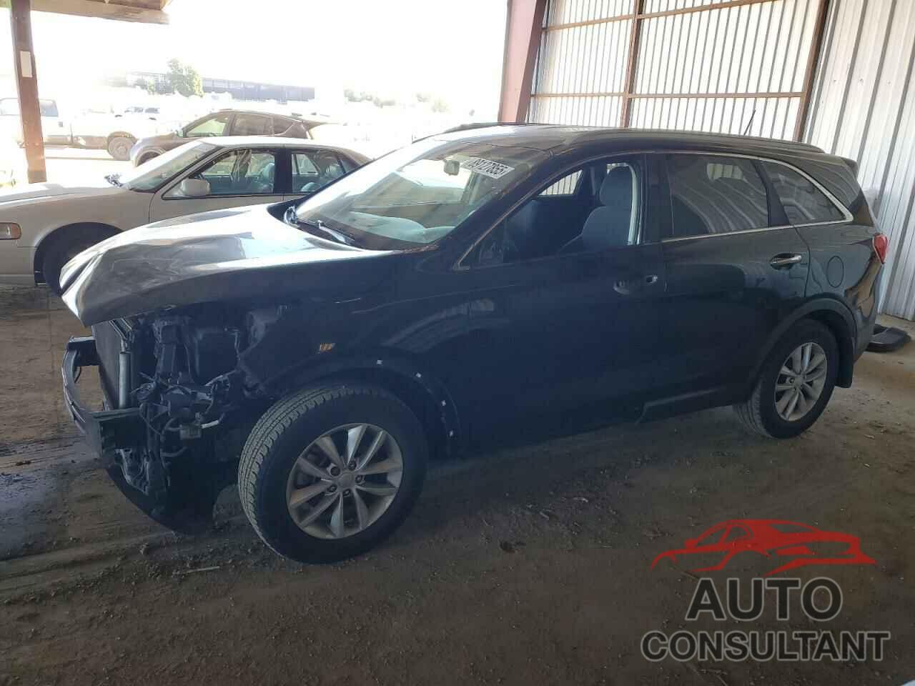 KIA SORENTO 2016 - 5XYPG4A35GG164536