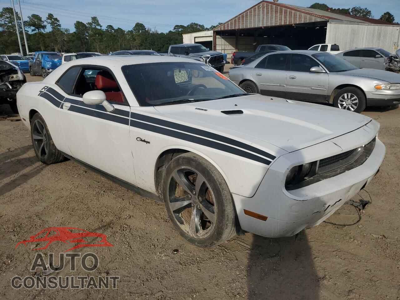 DODGE CHALLENGER 2014 - 2C3CDYBT1EH176828